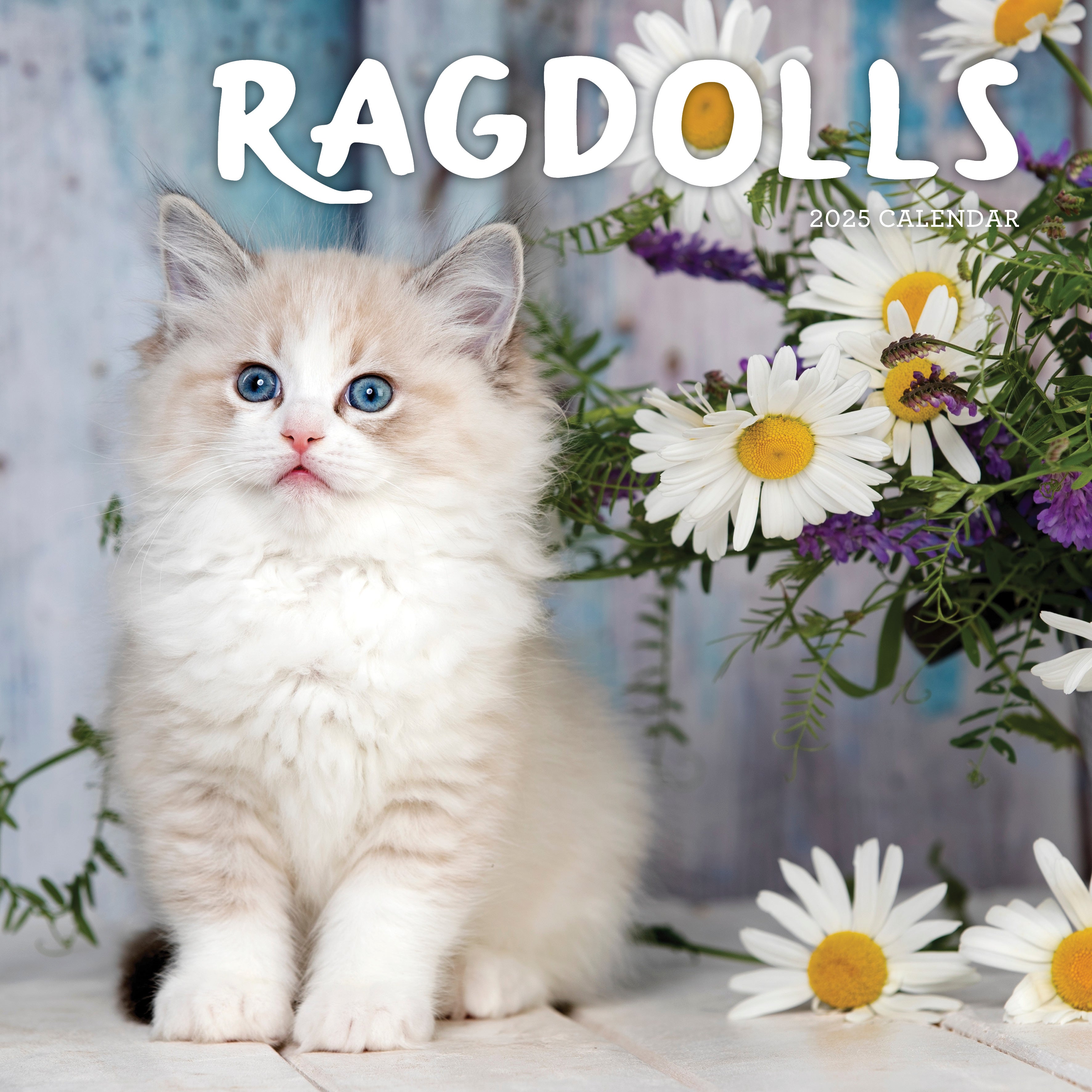 2025 Ragdolls Square Wall Calendar