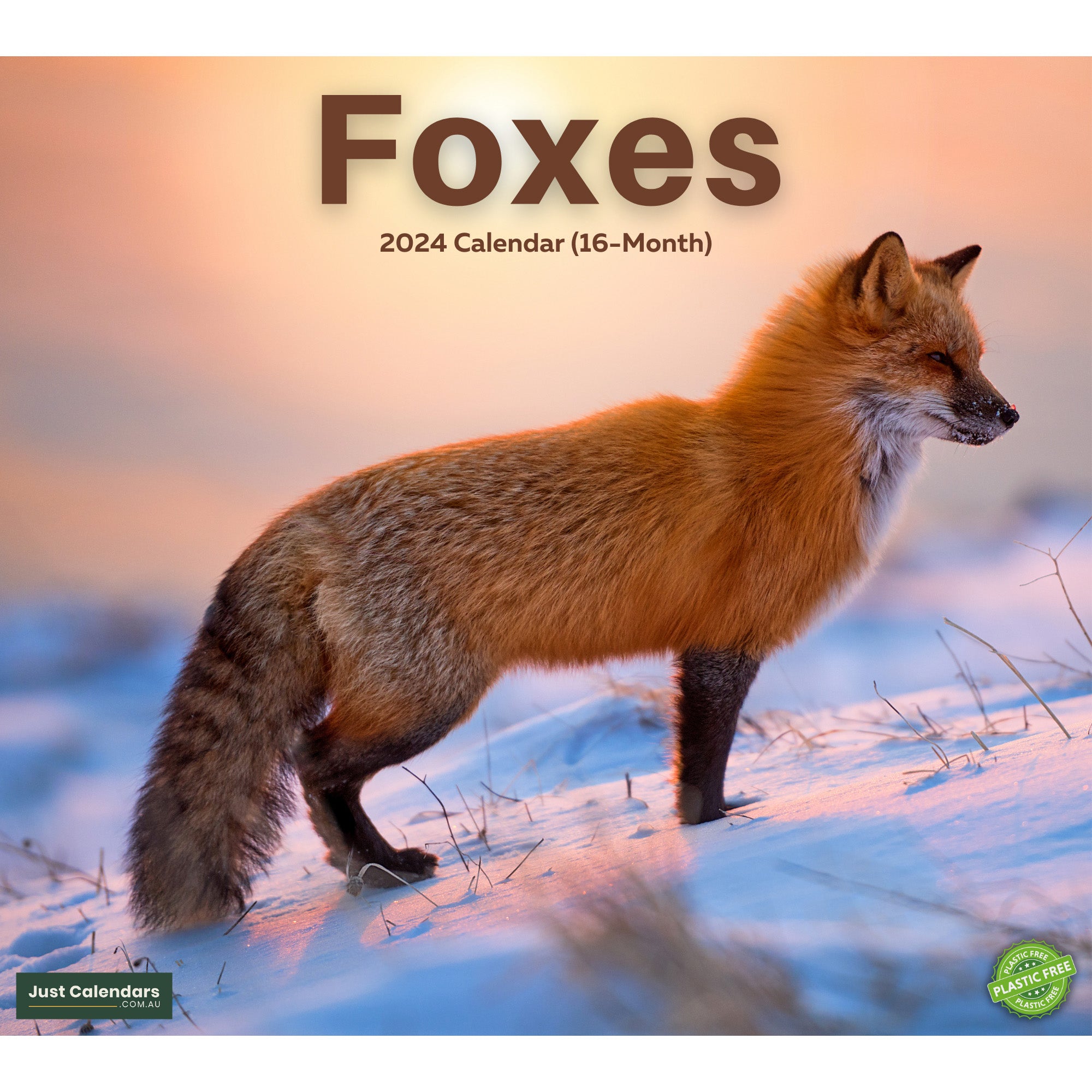 2024 Foxes Deluxe Wall Calendar Animals & Wildlife Calendars By