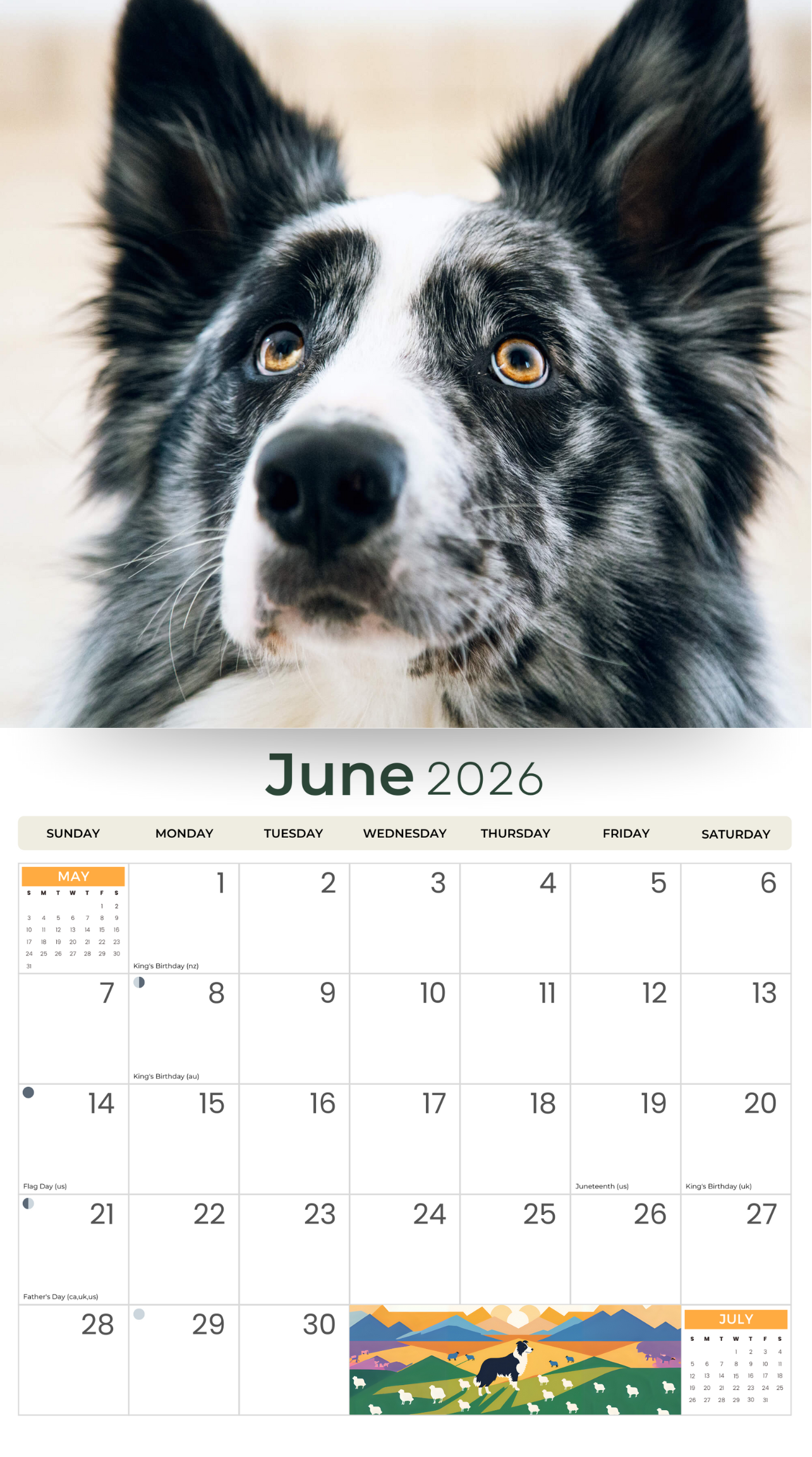 2026 Border Collies - Deluxe Wall Calendar