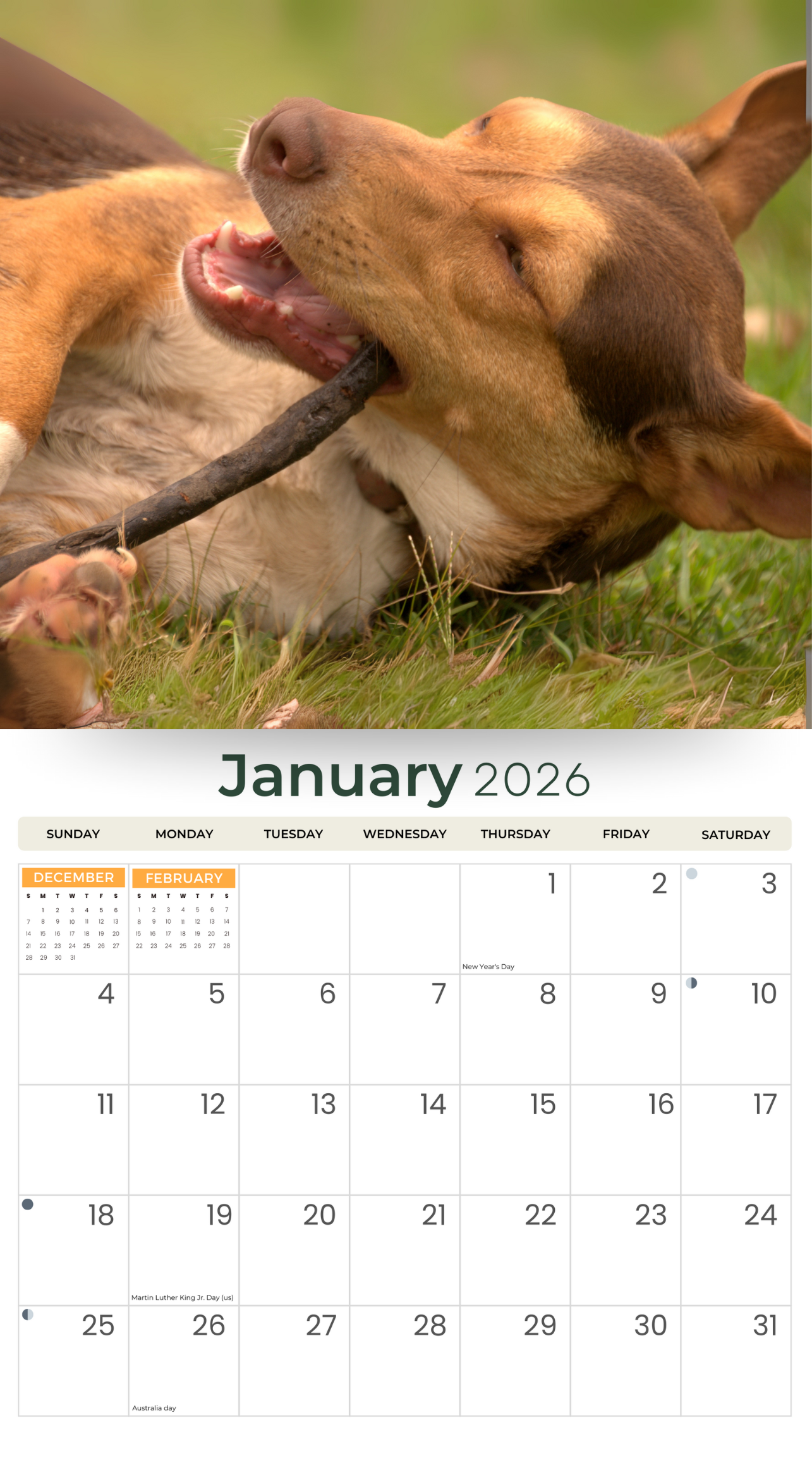 2026_Kelpies_-_Deluxe_Wall_Calendar_Inside_cover.png