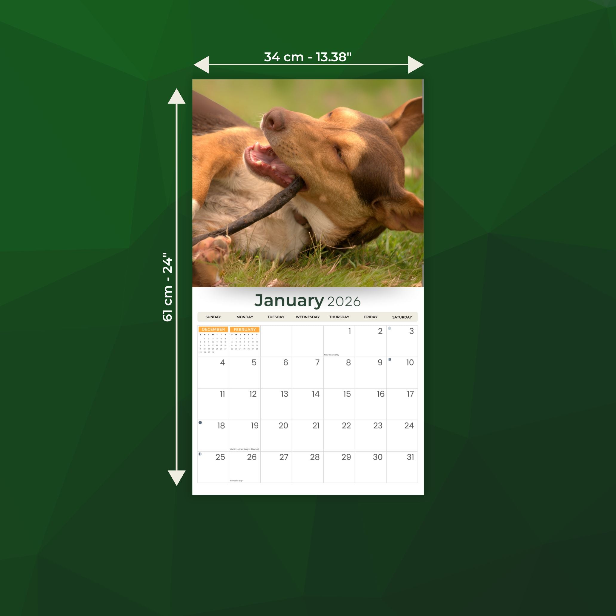 2026 Kelpies - Deluxe Wall Calendar