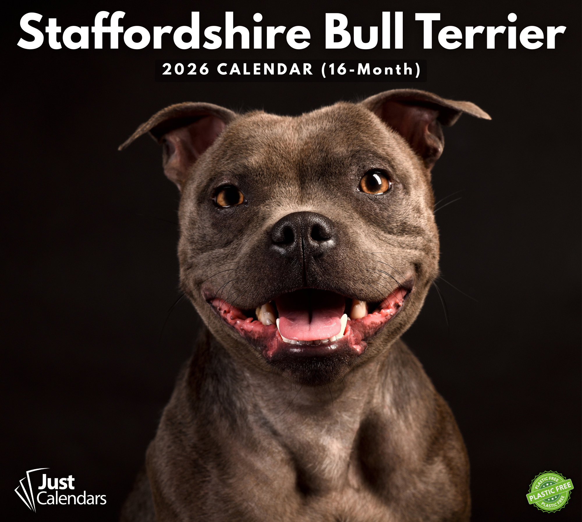 2026 Staffordshire Bull Terrier Deluxe Wall Calendar