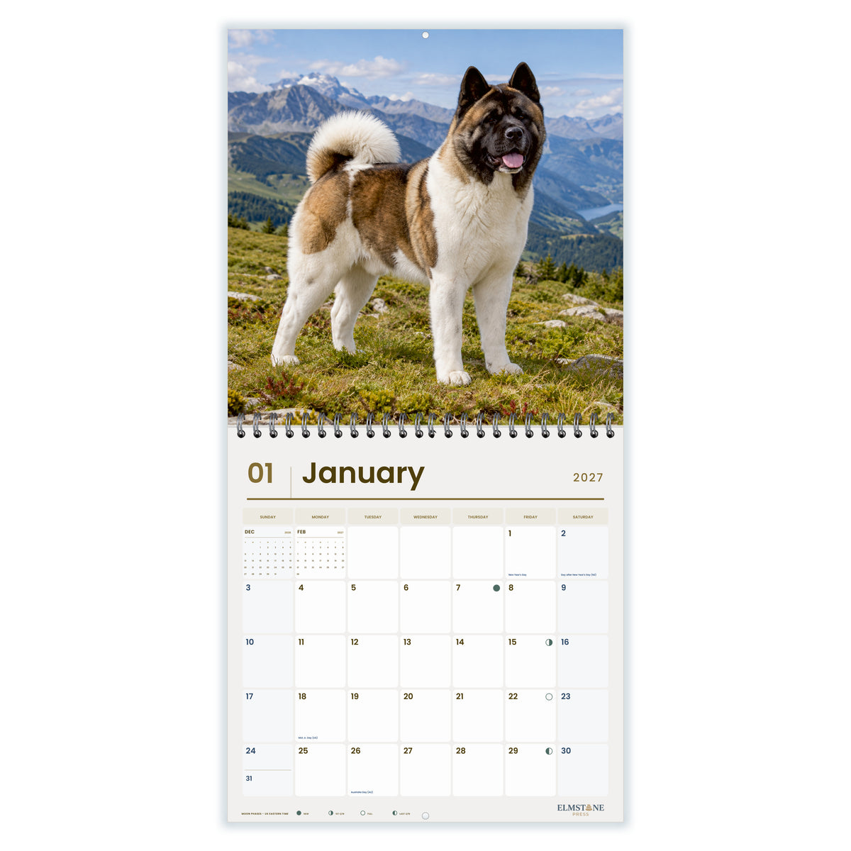 2027 American Akitas Wire-O square wall calendar - january open monthly spread on white