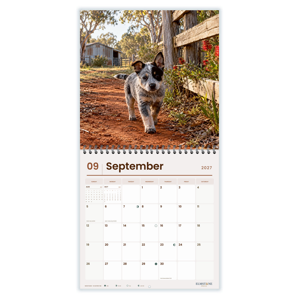 2027 Australian Cattle Dog Puppies Wire-O square wall calendar - september open monthly spread on white