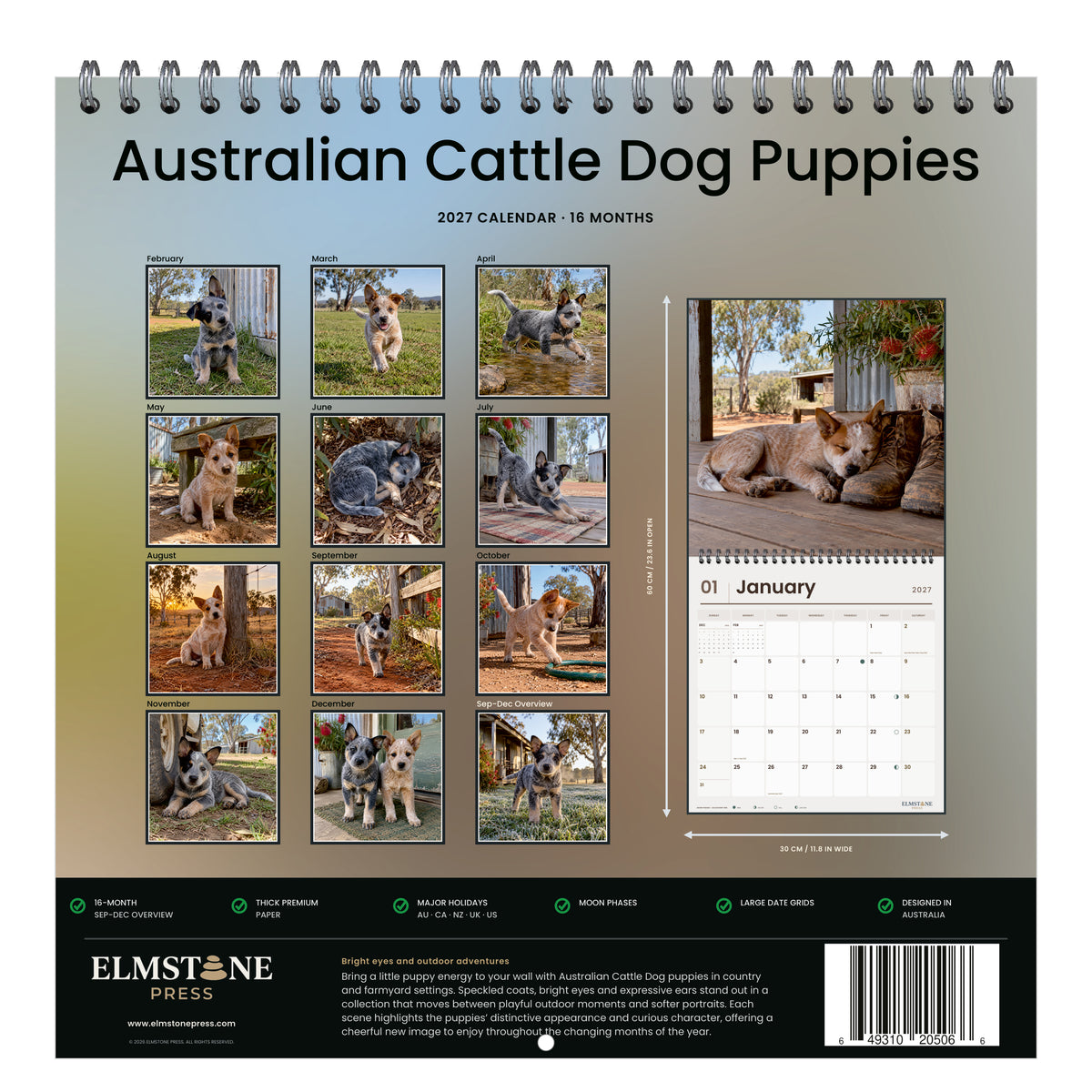 2027 Australian Cattle Dog Puppies Wire-O square wall calendar - back cover