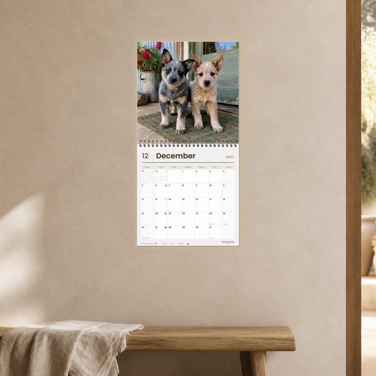 2027 Australian Cattle Dog Puppies Wire-O square wall calendar - open calendar displayed in a clay hallway december