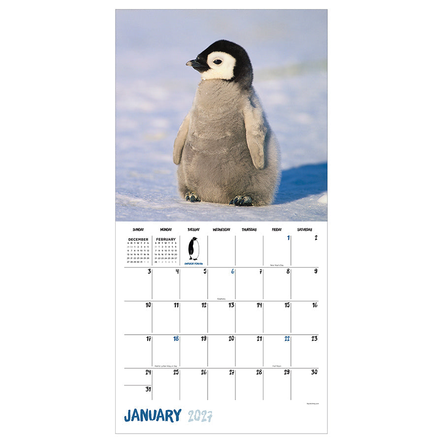 2027 Baby Animals wall calendar open January grid