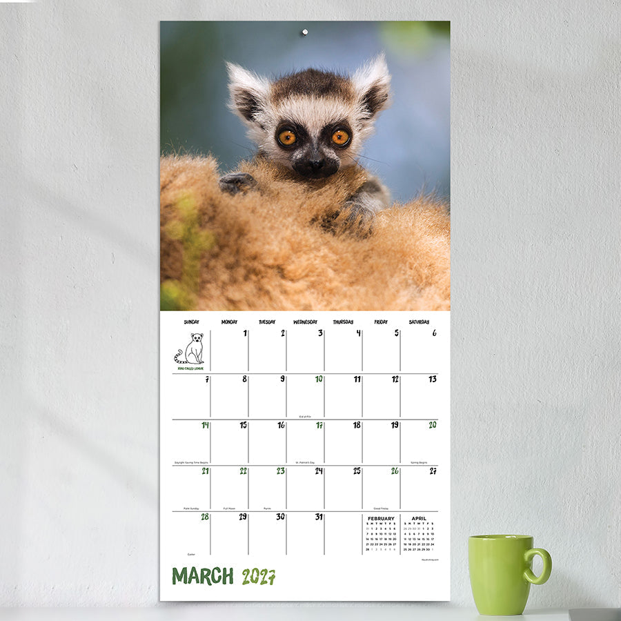 2027 Baby Animals wall calendar displayed on a wall