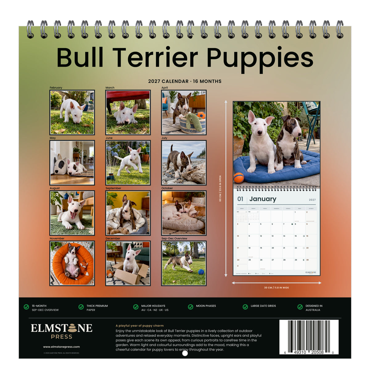 2027 Bull Terrier Puppies Wire-O square wall calendar - back cover