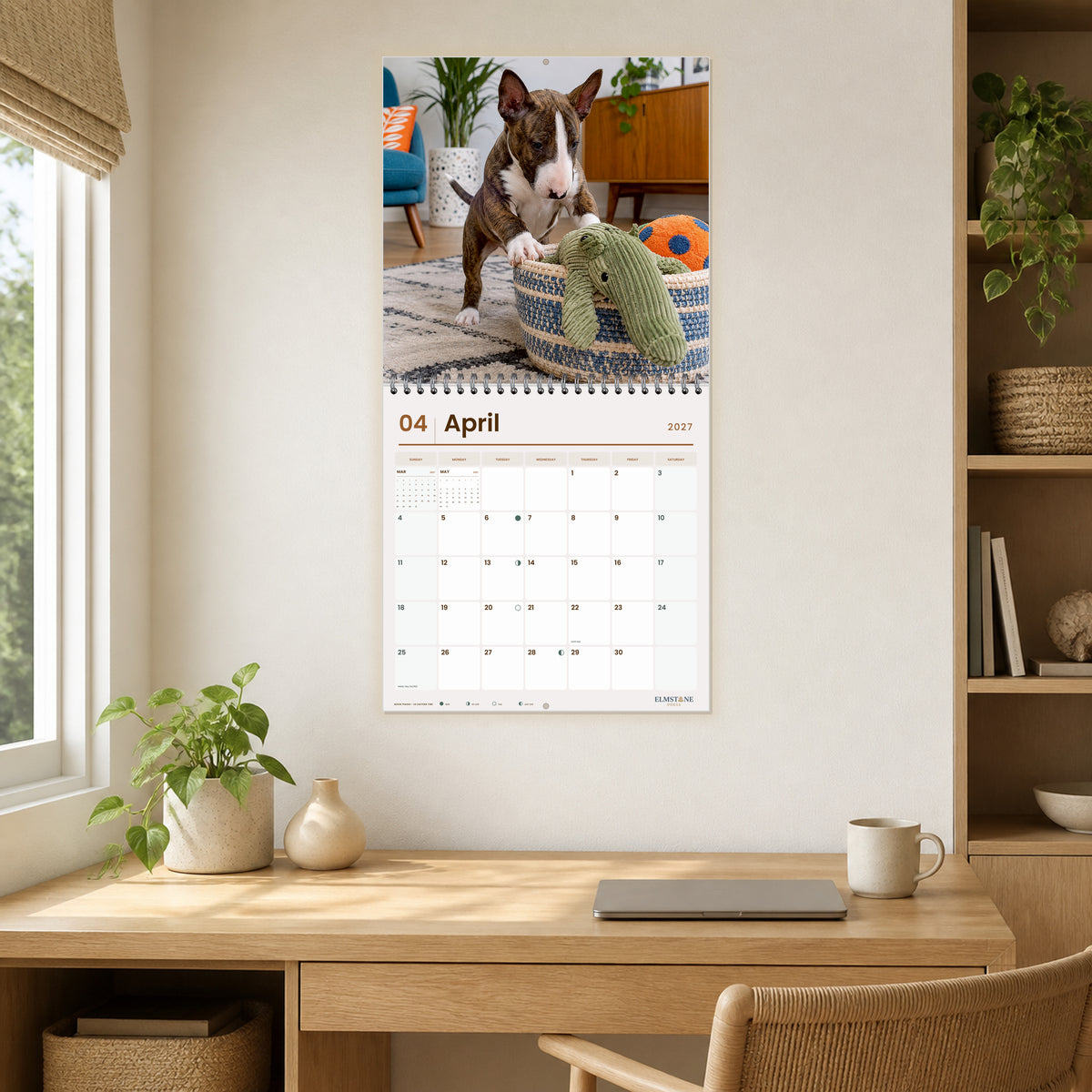 2027 Bull Terrier Puppies Wire-O square wall calendar - open calendar displayed in a oak home office april