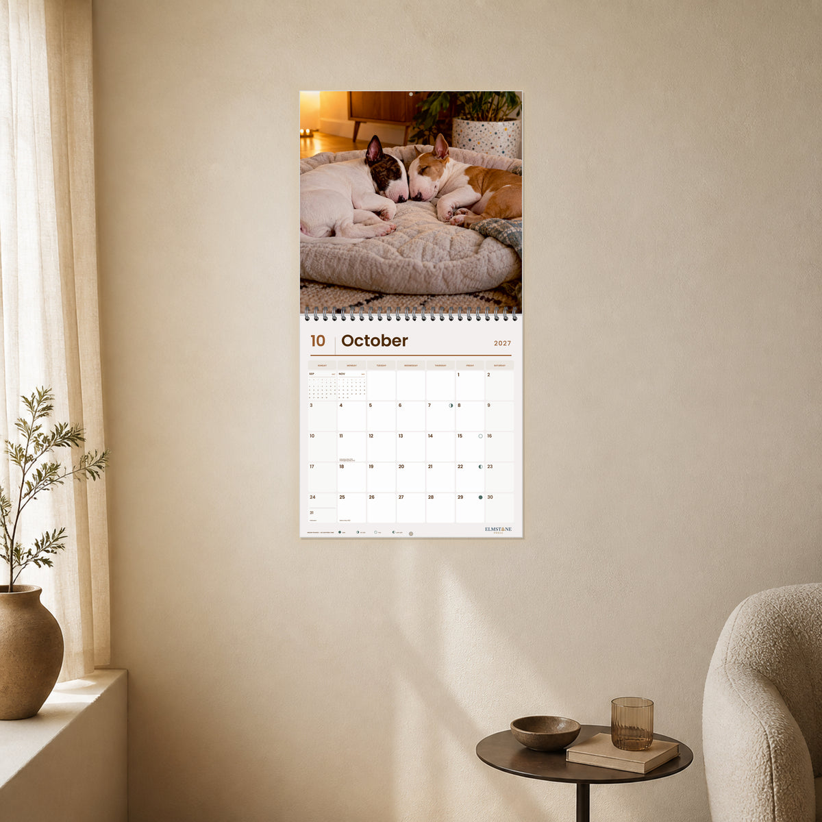 2027 Bull Terrier Puppies Wire-O square wall calendar - open calendar displayed in a ivory reading nook october