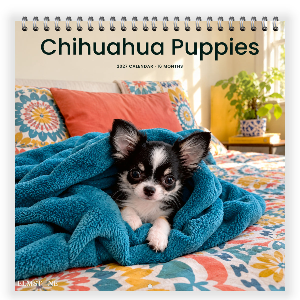 2027 Chihuahua Puppies Wire-O square wall calendar - front cover
