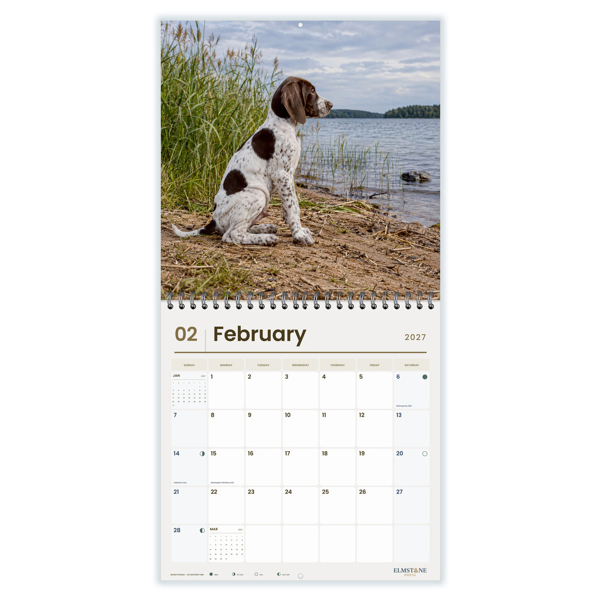 2027 German Shorthaired Pointer Puppies Wire-O square wall calendar - february open monthly spread on white