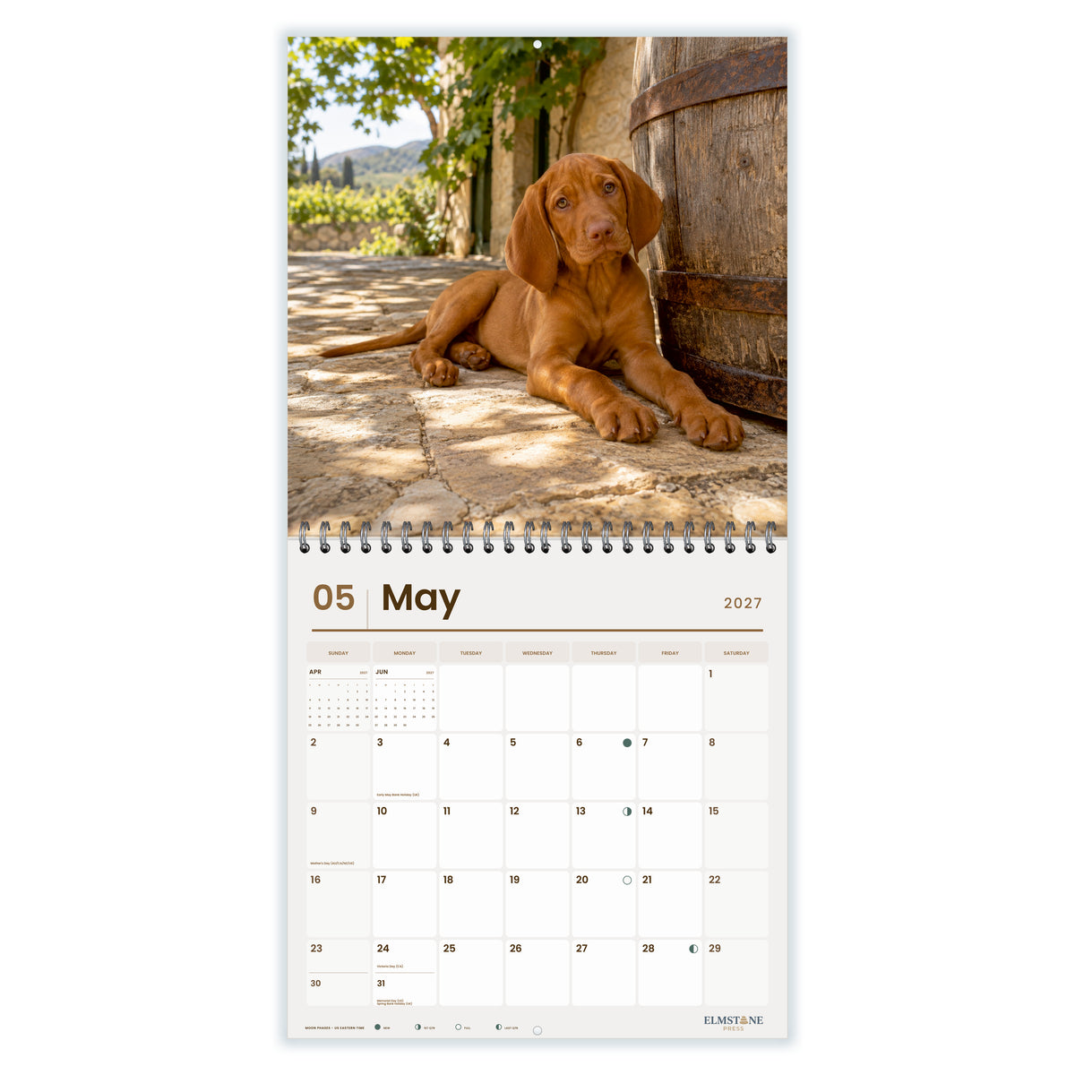 2027 Hungarian Vizsla Puppies Wire-O square wall calendar - may open monthly spread on white