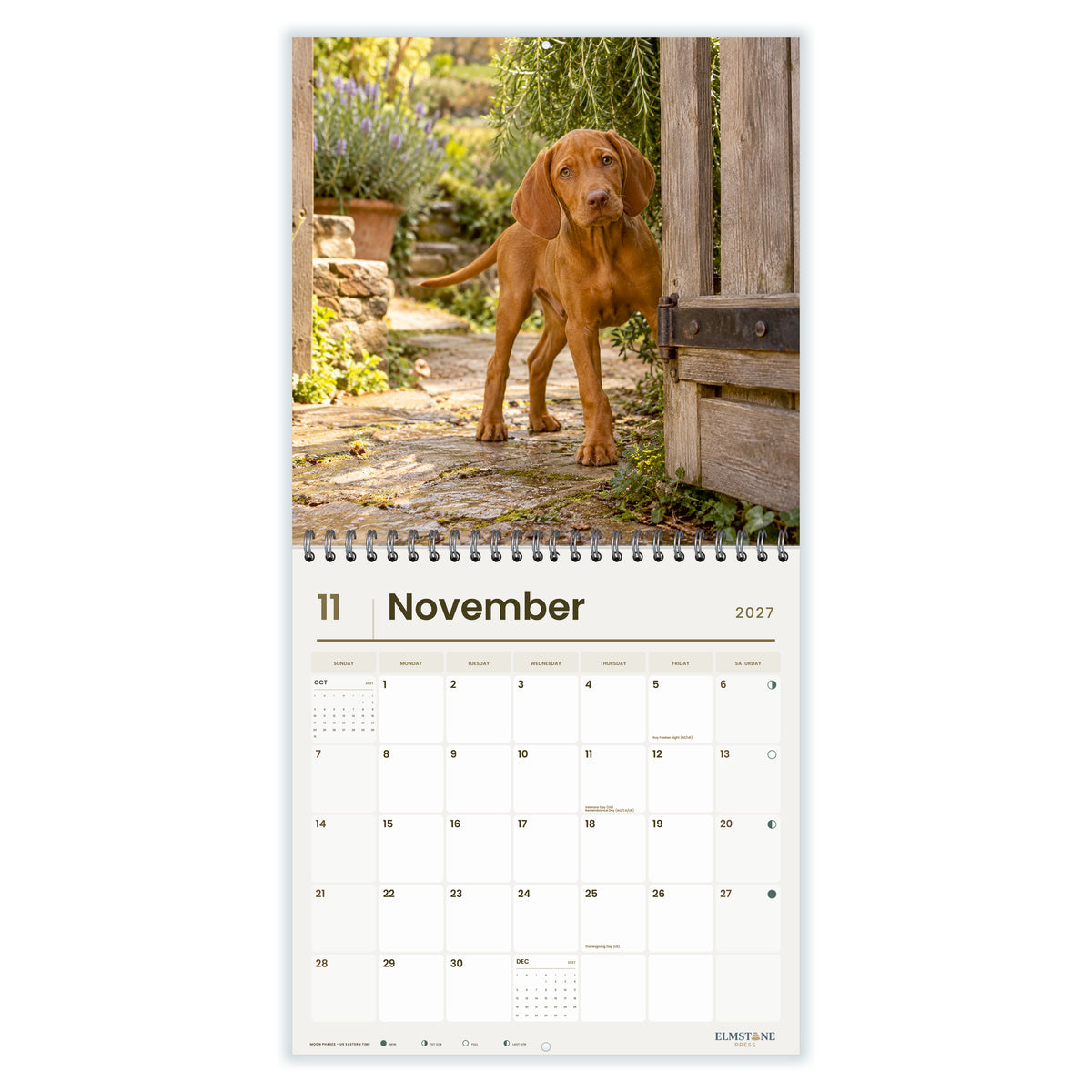 2027 Hungarian Vizsla Puppies Wire-O square wall calendar - november open monthly spread on white