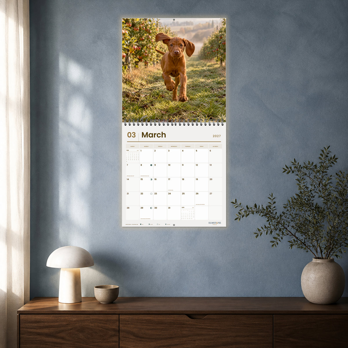 2027 Hungarian Vizsla Puppies Wire-O square wall calendar - open calendar displayed in a blue studio march