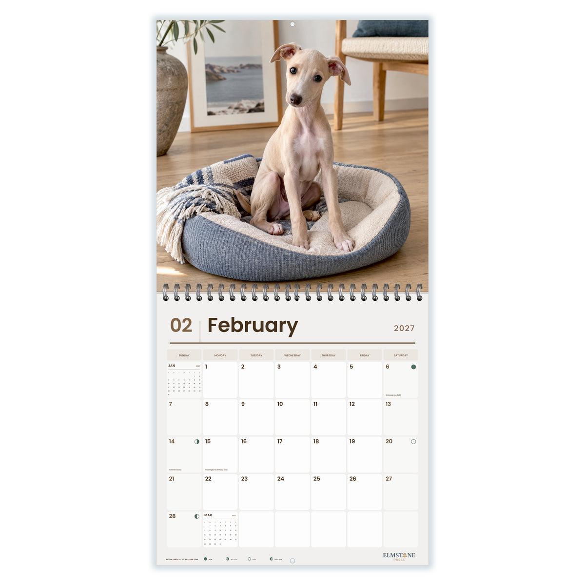 2027 Italian Greyhound Puppies Wire-O square wall calendar - february open monthly spread on white