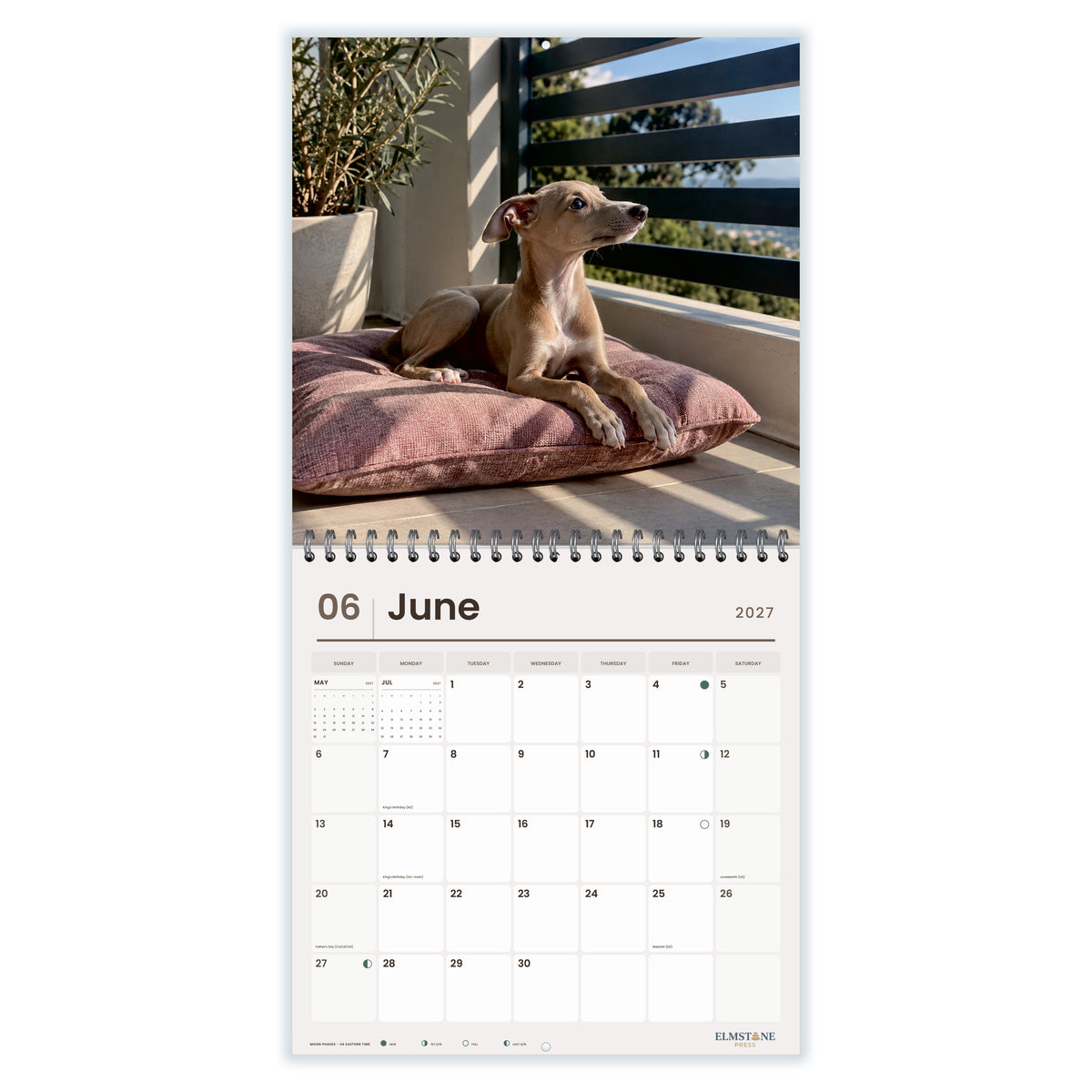 2027 Italian Greyhound Puppies Wire-O square wall calendar - june open monthly spread on white