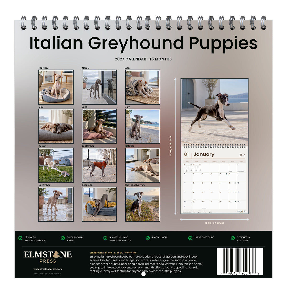 2027 Italian Greyhound Puppies Wire-O square wall calendar - back cover