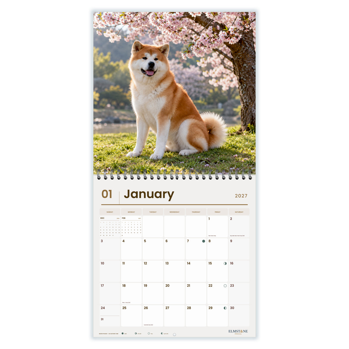 2027 Japanese Akitas Wire-O square wall calendar - january open monthly spread on white