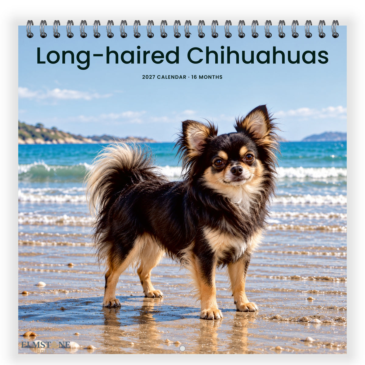 2027 Long-haired Chihuahuas Wire-O square wall calendar - front cover
