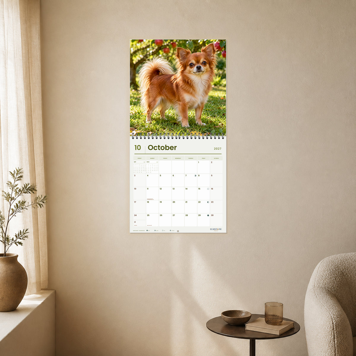 2027 Long-haired Chihuahuas Wire-O square wall calendar - open calendar displayed in a ivory reading nook october