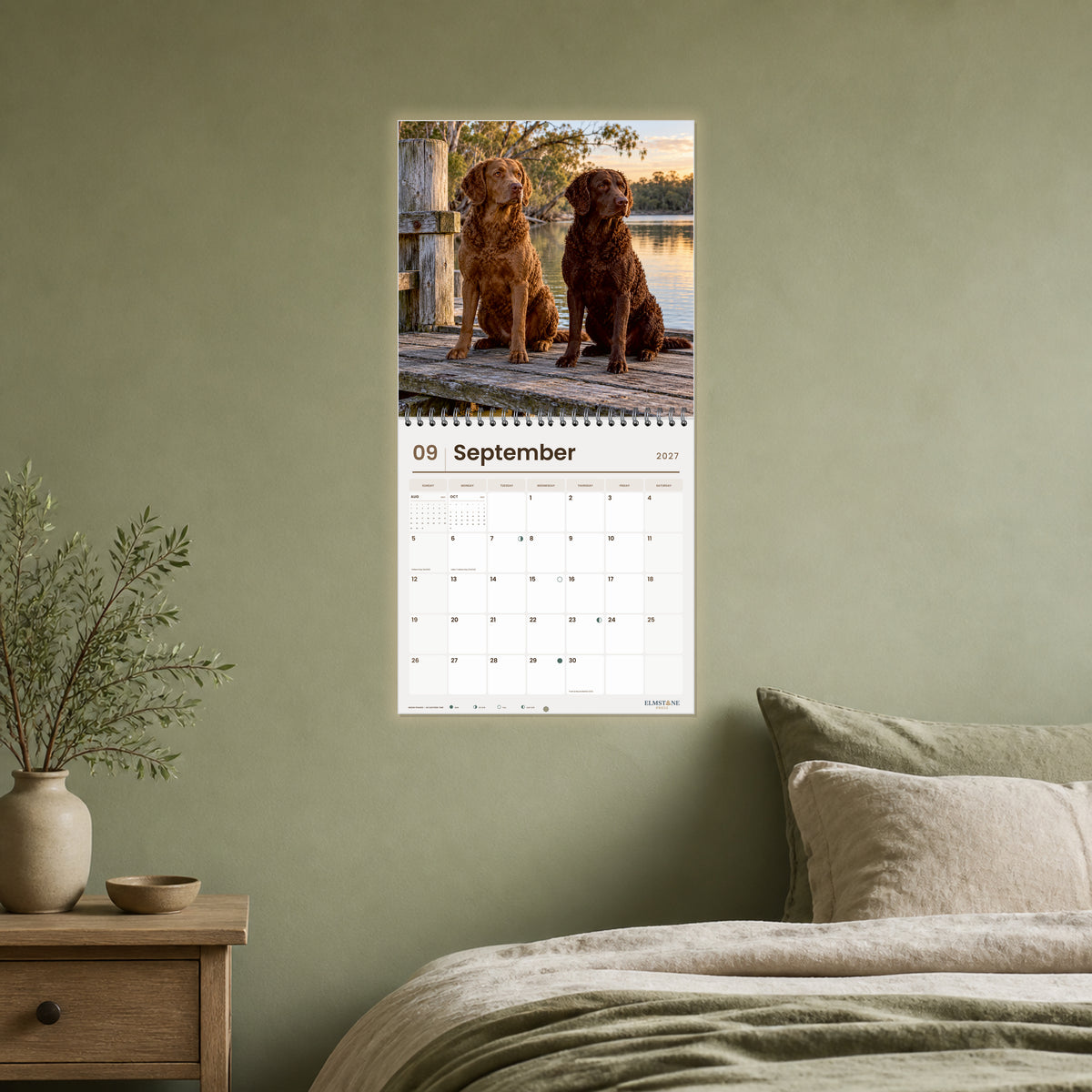 2027 Murray River Retrievers Wire-O square wall calendar - open calendar displayed in a sage bedroom september