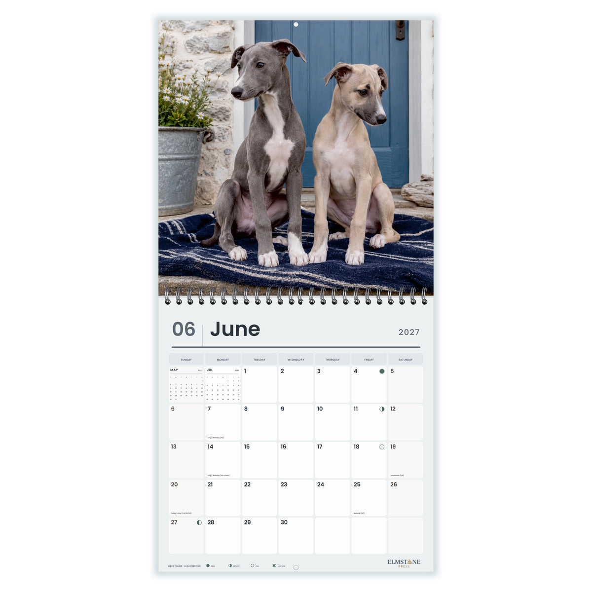 2027 Whippet Puppies Wire-O square wall calendar - june open monthly spread on white
