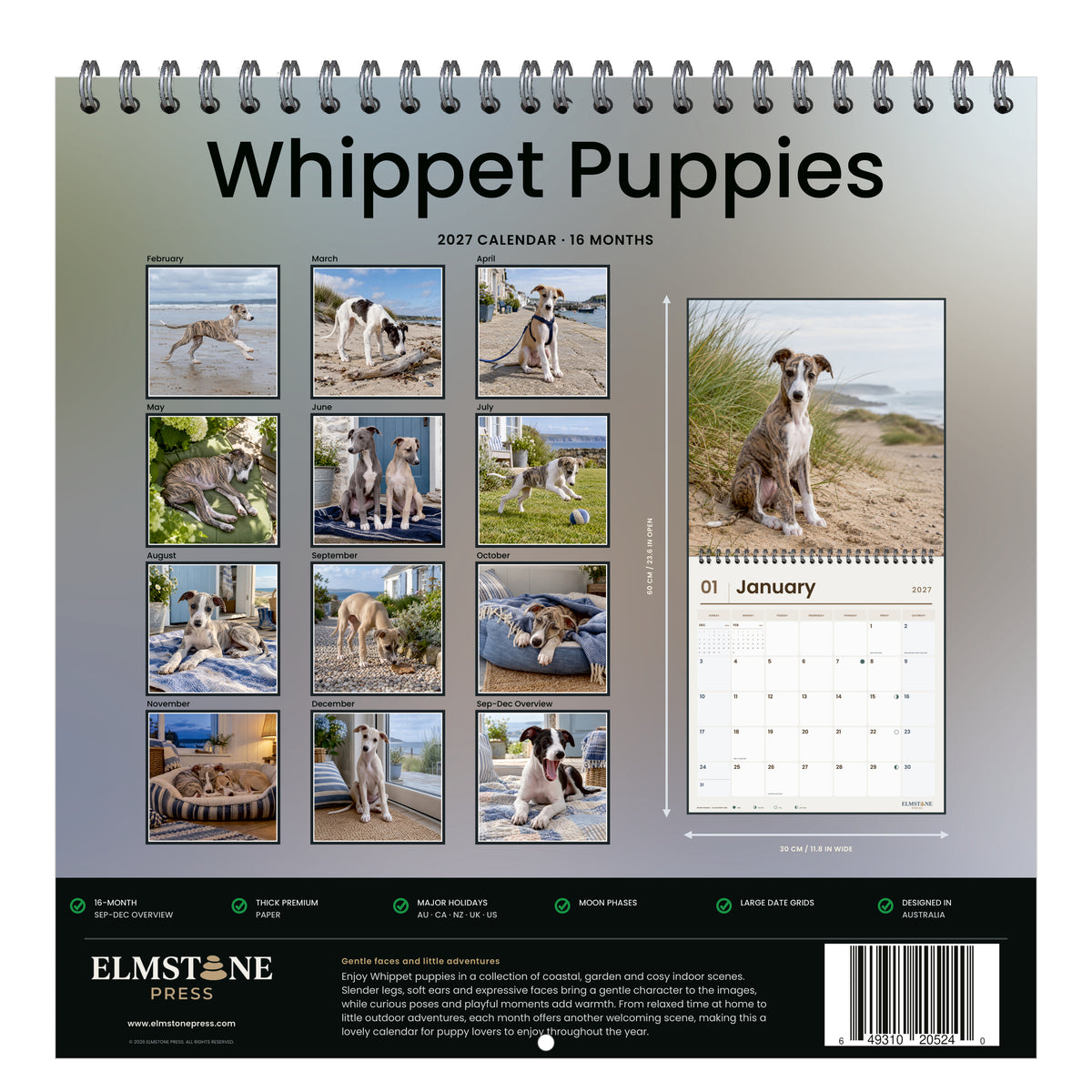 2027 Whippet Puppies Wire-O square wall calendar - back cover