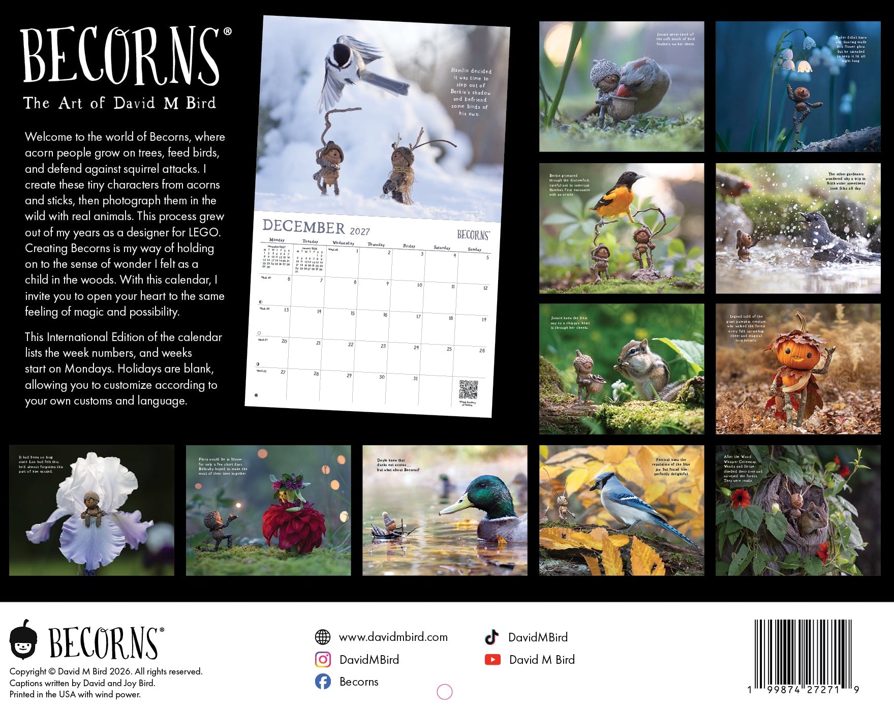 2027 Becorns The Art Of David M Bird - Horizontal Wall Calendar