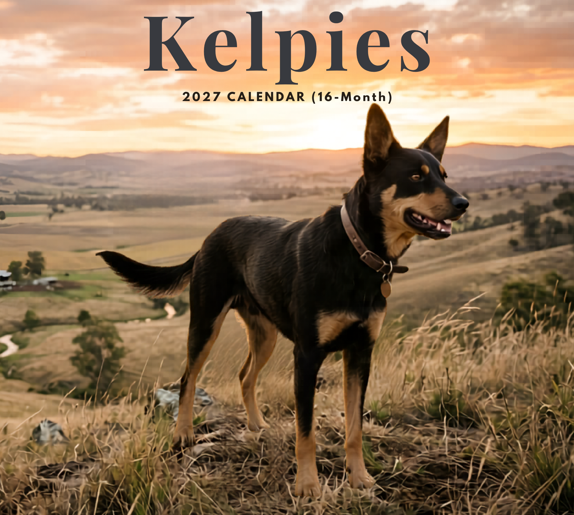 2027_Kelpies_-_Deluxe_Wall_Calendar__front_Cover_.png
