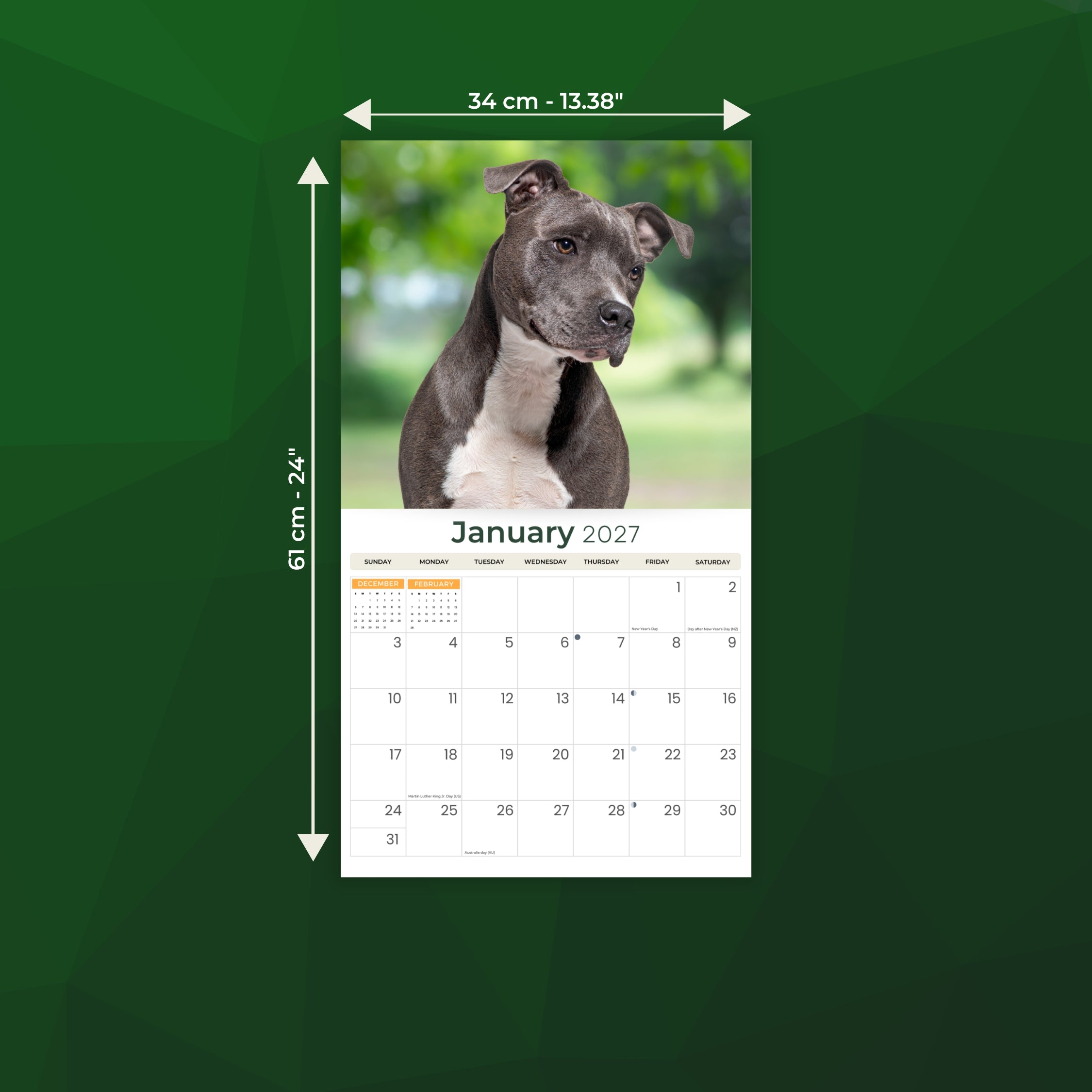 2027 Staffordshire Bull Terrier - Deluxe Wall Calendar
