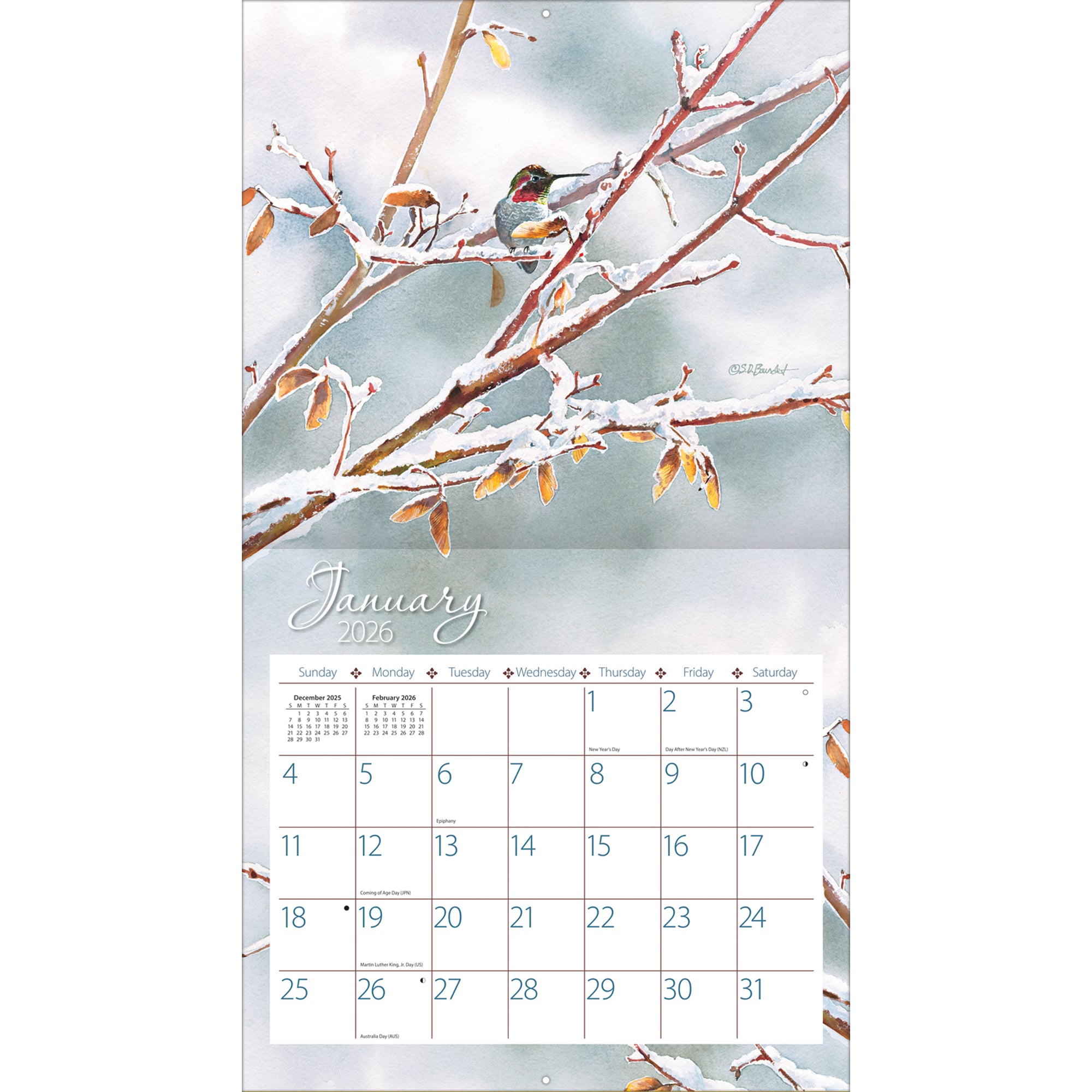 2026 LANG Hummingbirds - Deluxe Wall Calendar