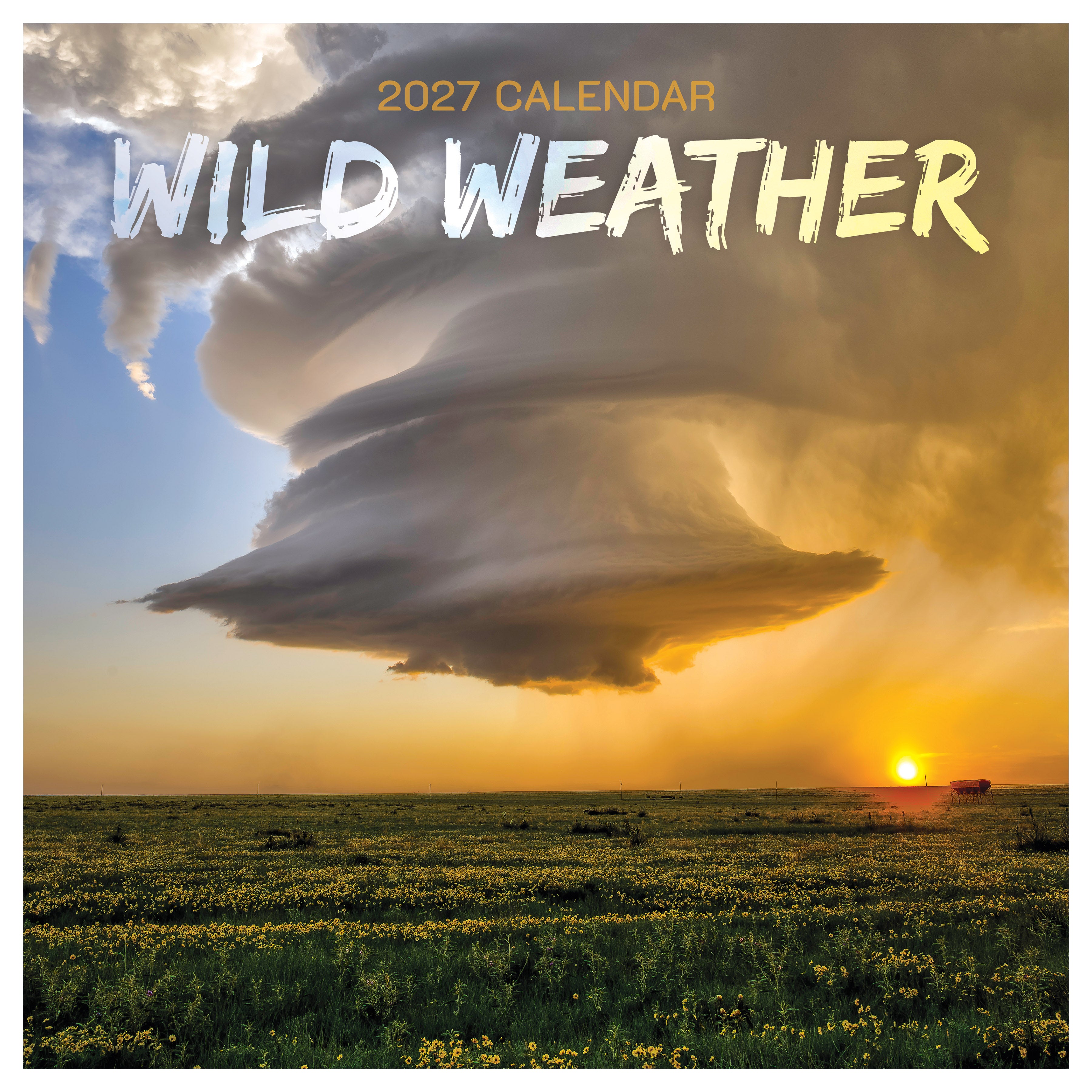 2027 Wild Weather - Square Wall Calendar