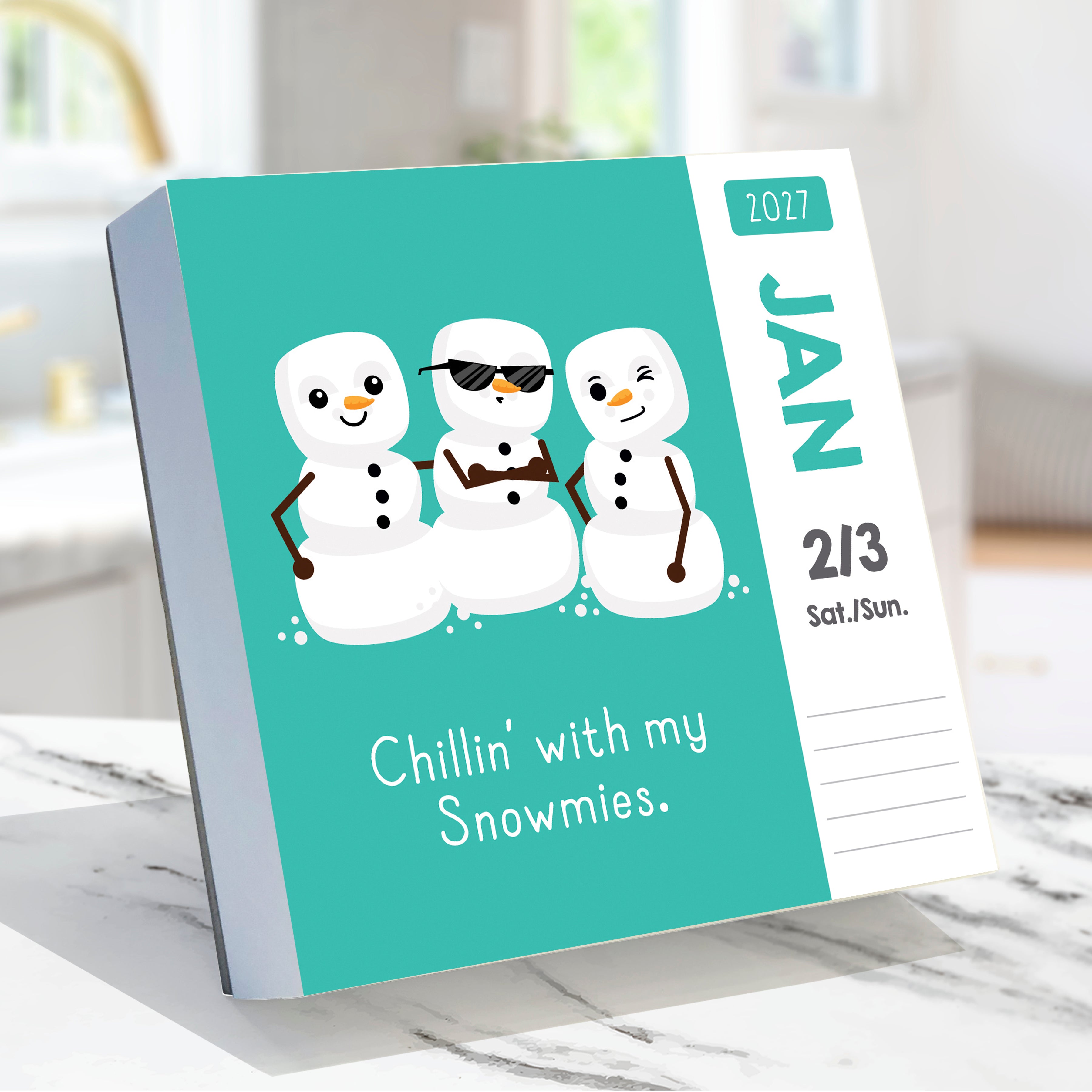 2027 Puns of Fun - Boxed Page-A-Day Calendar