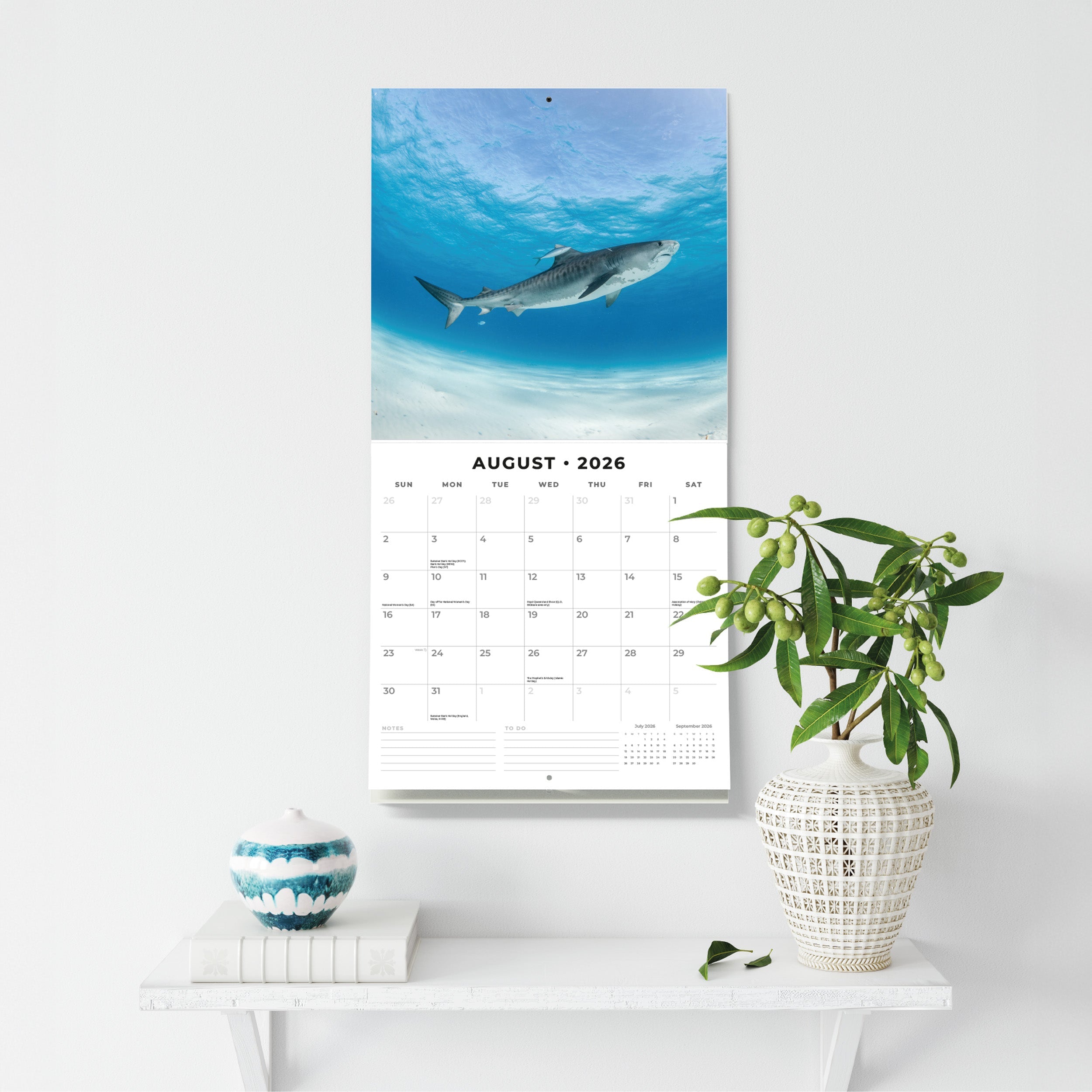 2026 Sharks - Square Wall Calendar