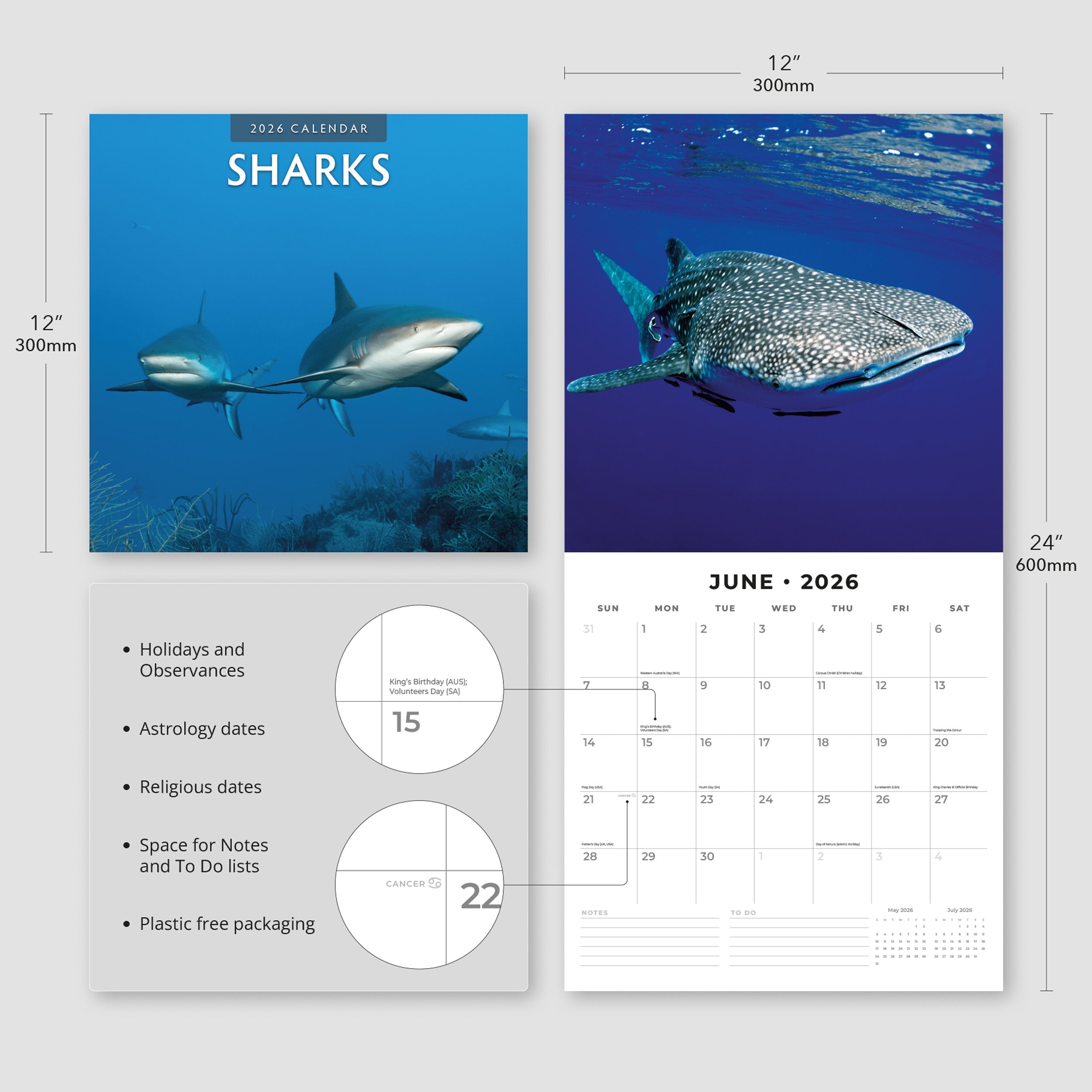 2026 Sharks - Square Wall Calendar