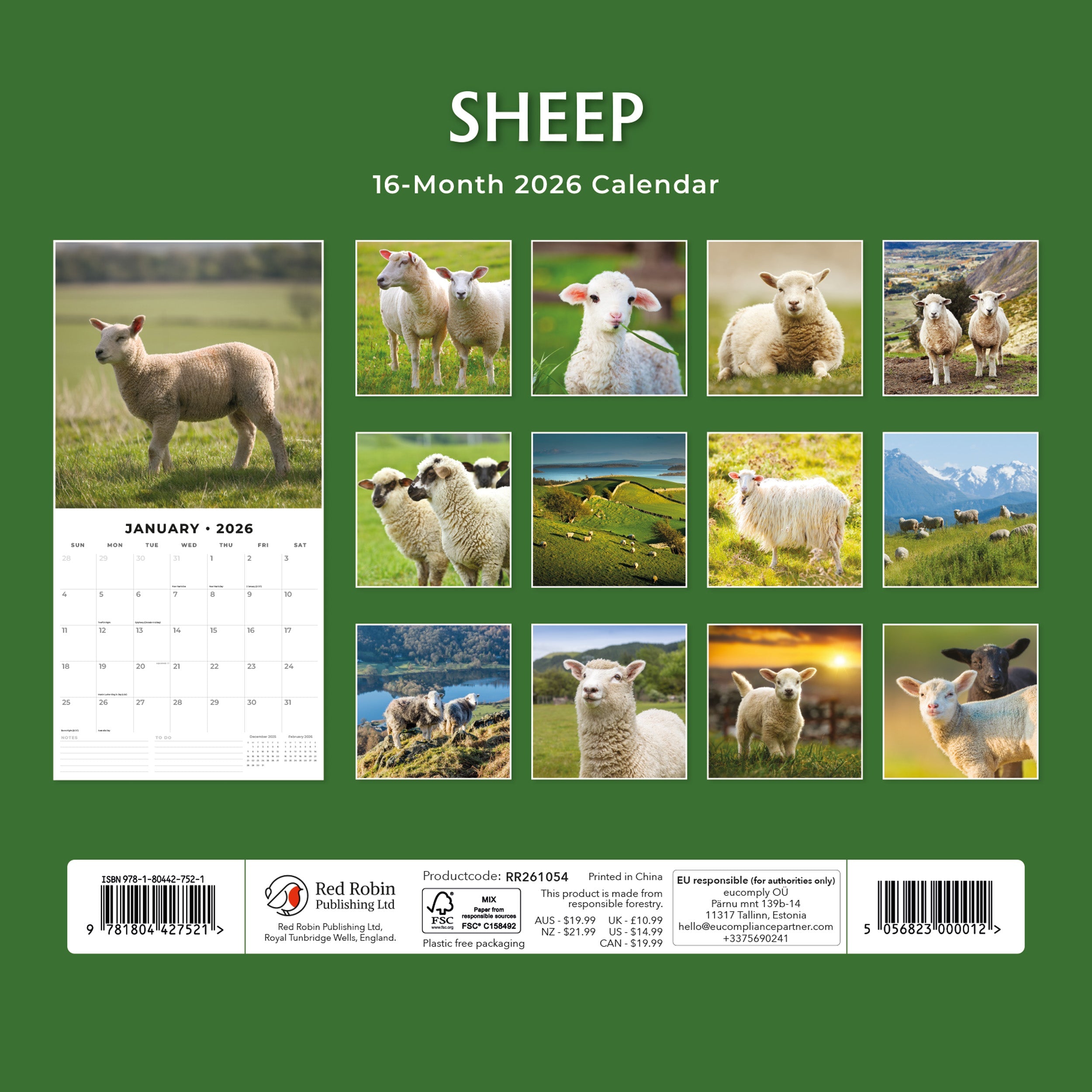 2026 Sheep - Square Wall Calendar