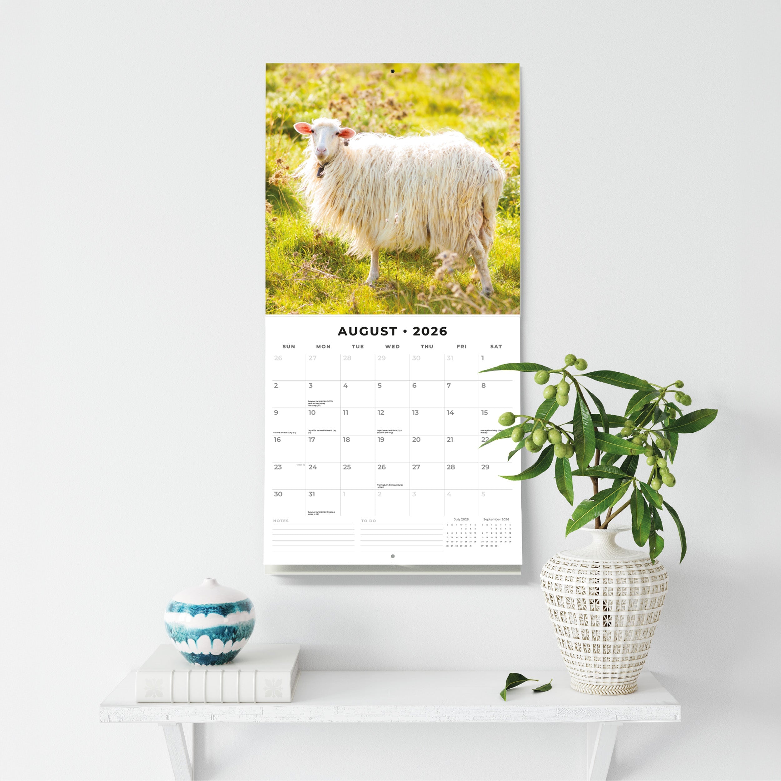 2026 Sheep - Square Wall Calendar