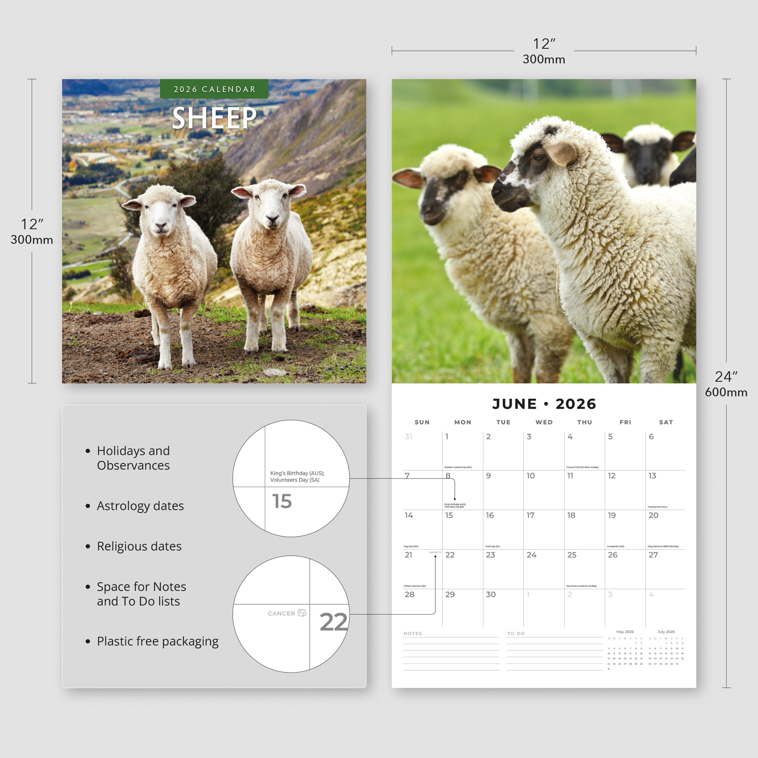 2026 Sheep - Square Wall Calendar