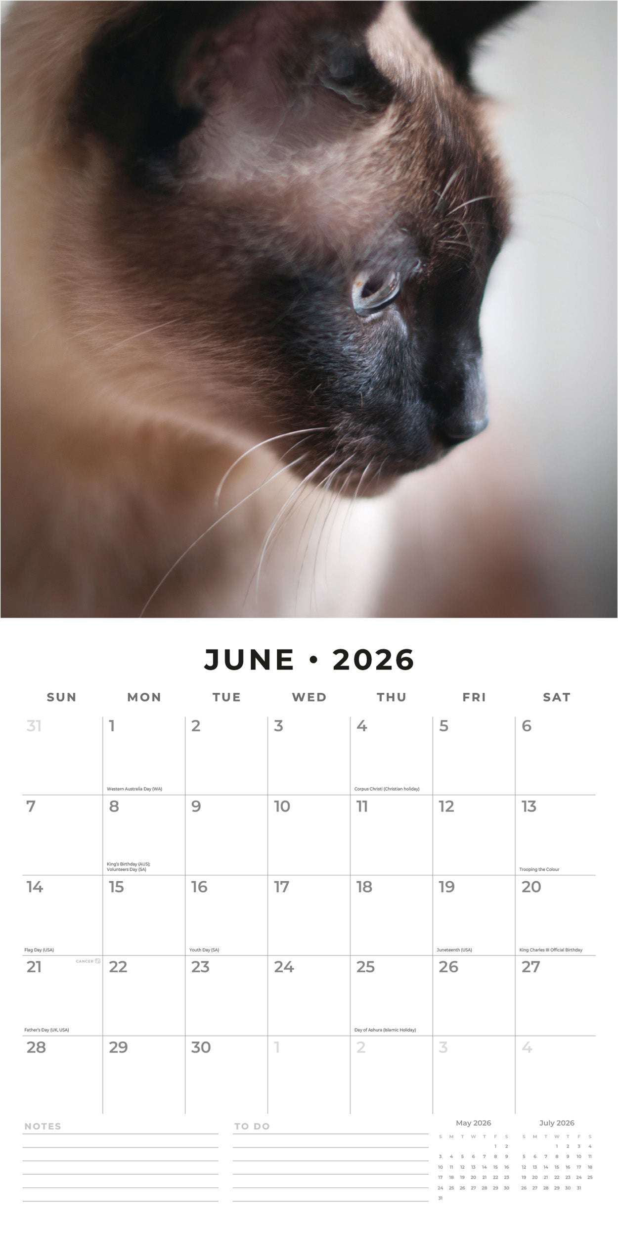 2026 Siamese Cats - Square Wall Calendar