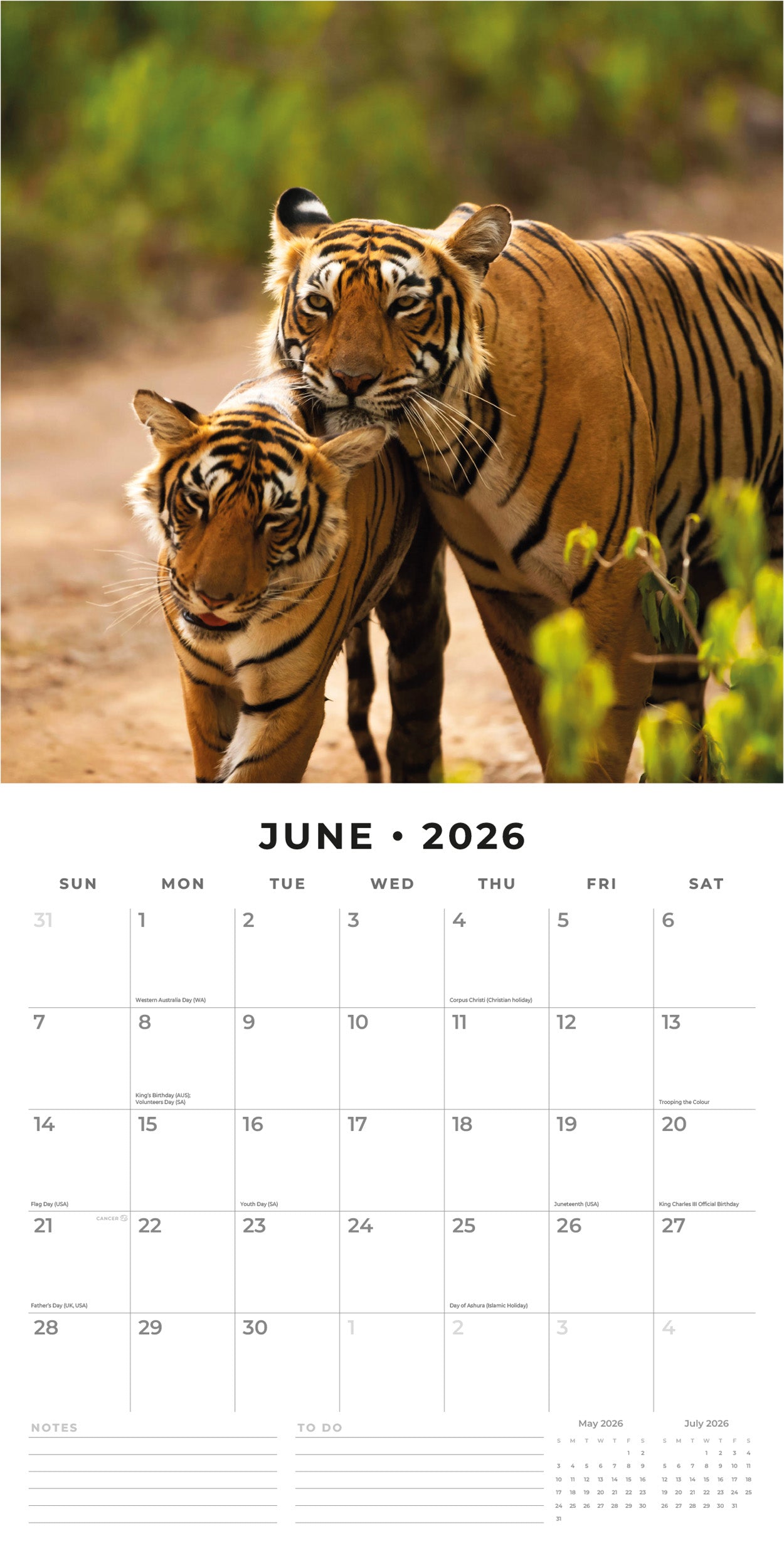 2026 Tigers - Square Wall Calendar