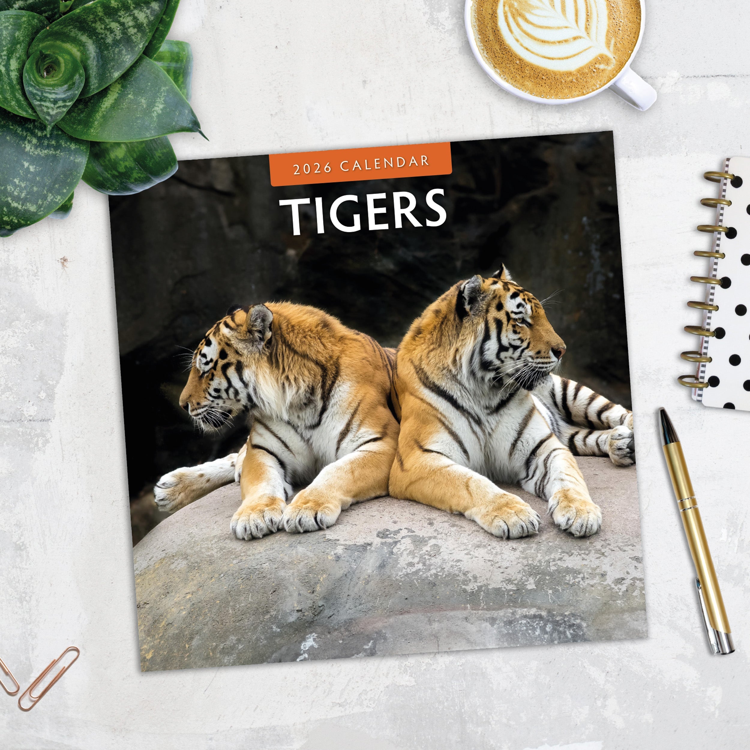2026 Tigers - Square Wall Calendar