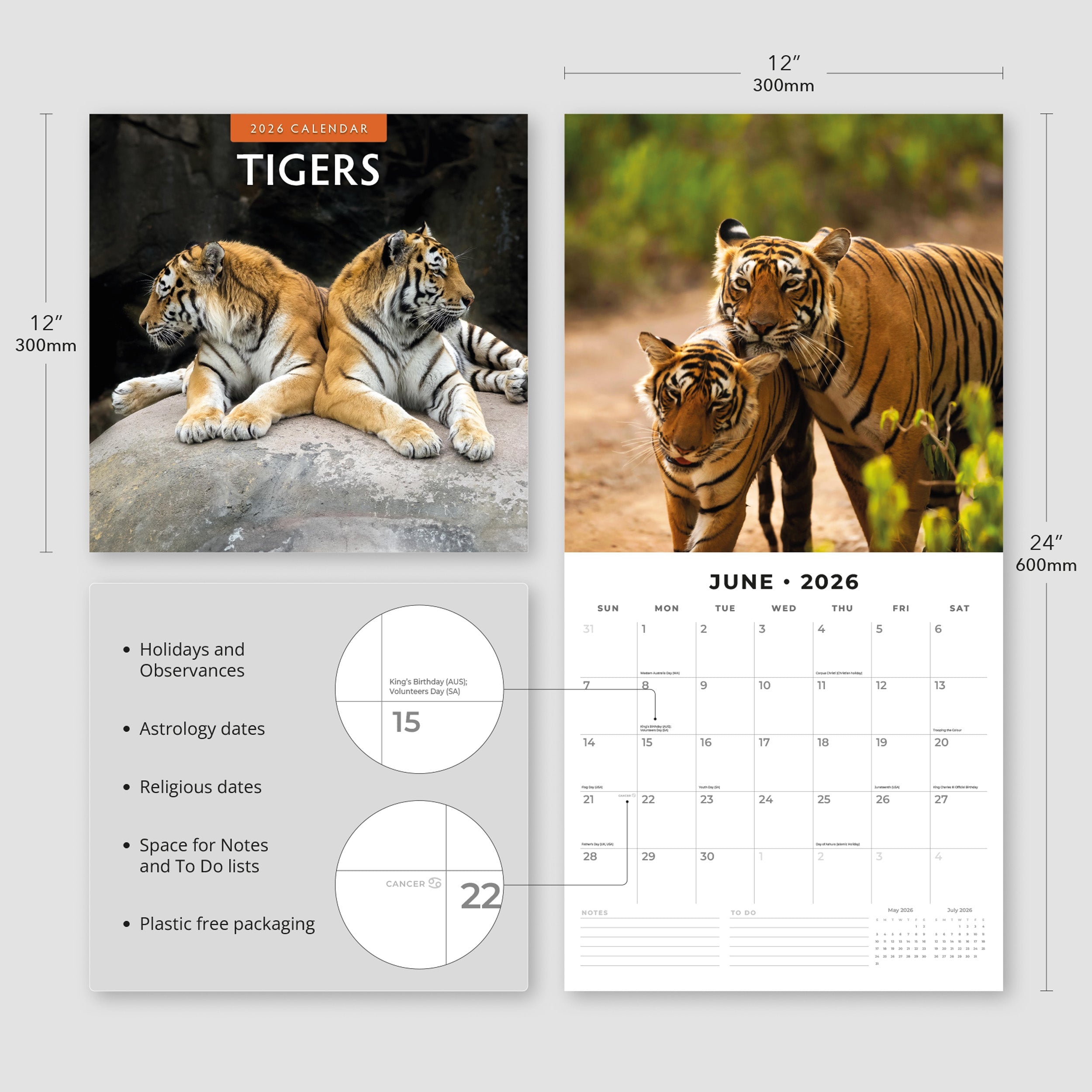 2026 Tigers - Square Wall Calendar