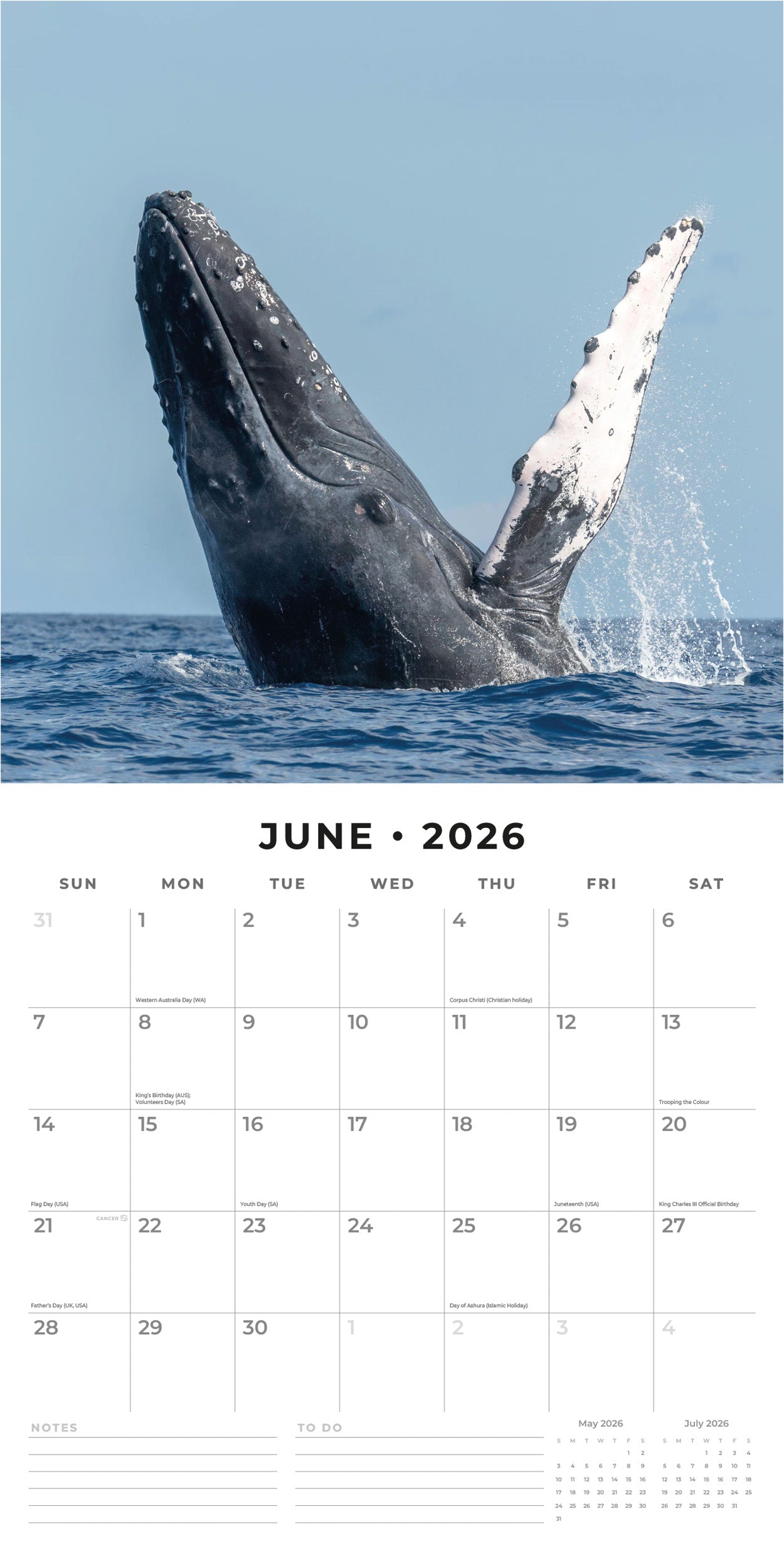 2026 Whales - Square Wall Calendar