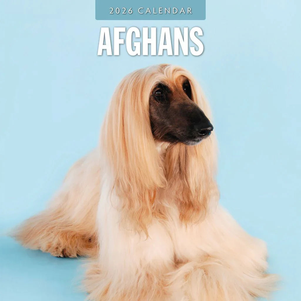 2026 Afghans - Square Wall Calendar