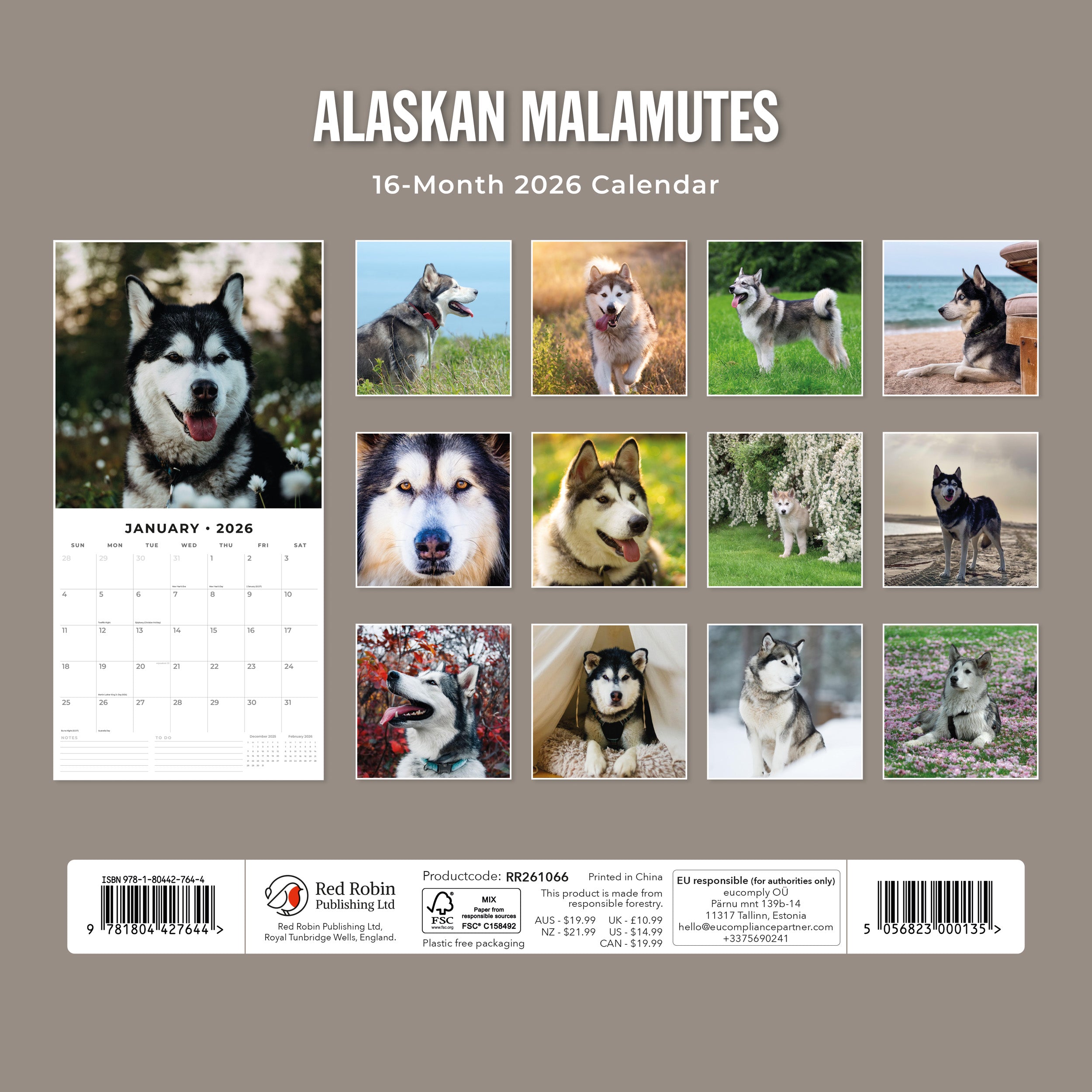 2026 Alaskan Malamutes - Square Wall Calendar