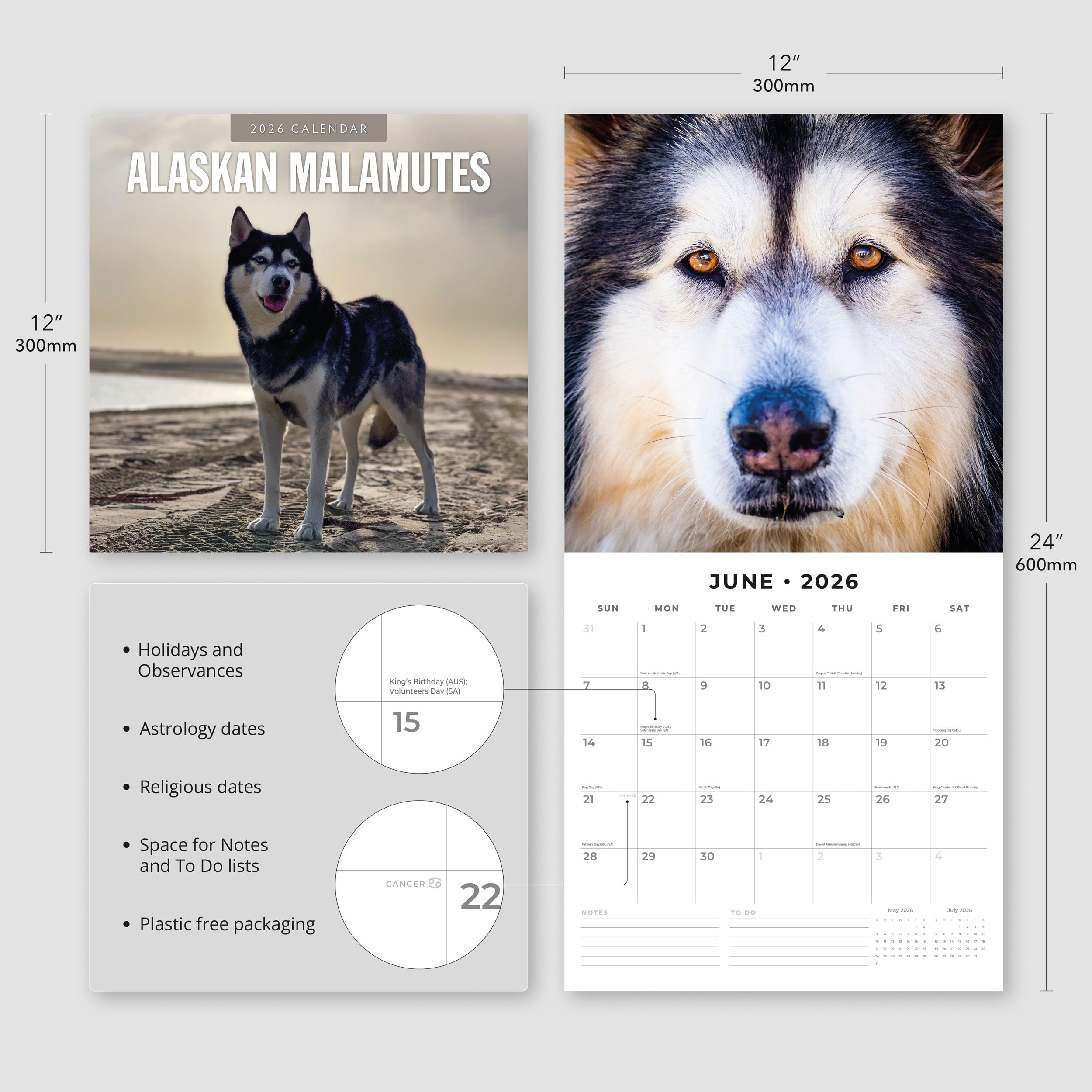 2026 Alaskan Malamutes - Square Wall Calendar