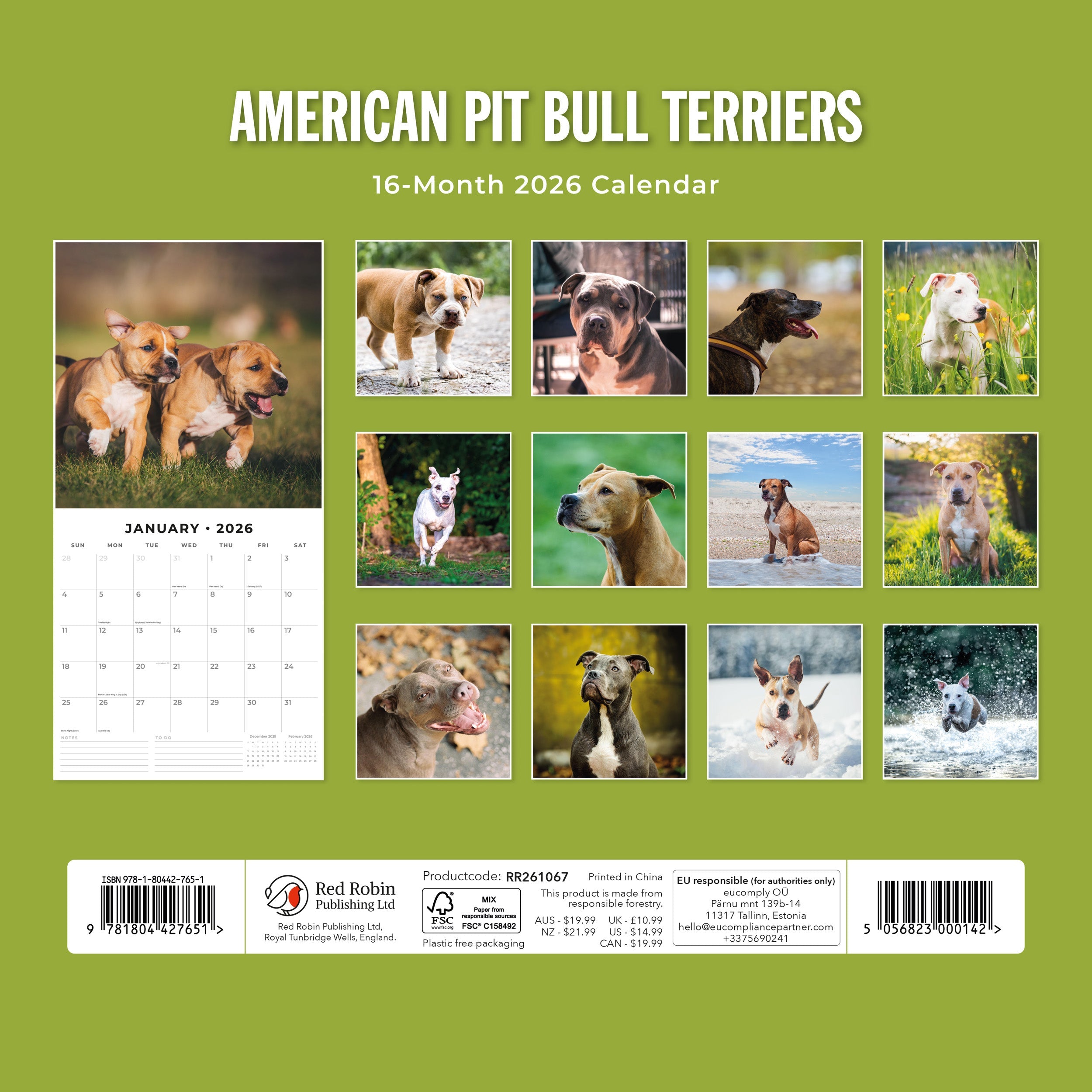 2026 American Pit Bull Terriers - Square Wall Calendar