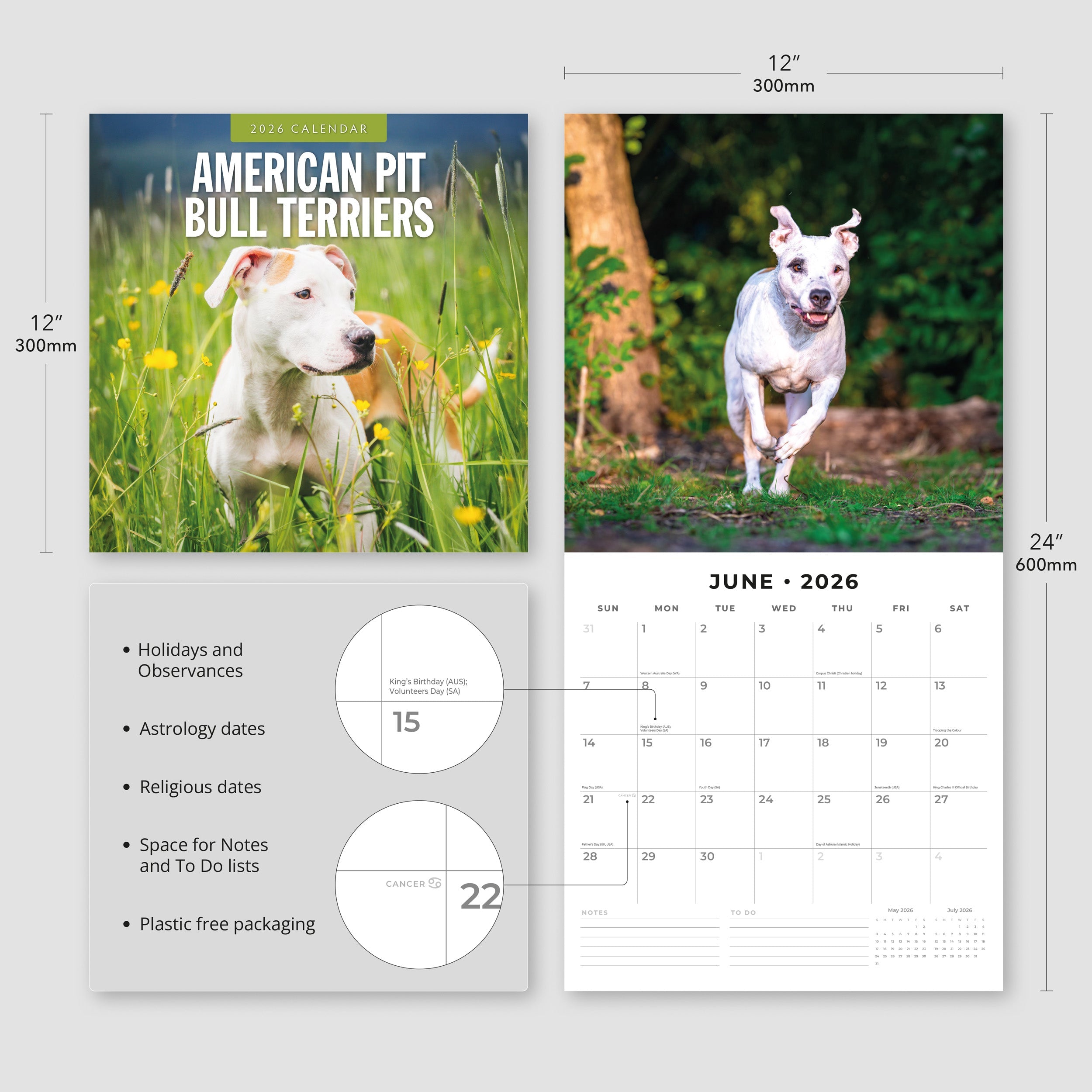 2026 American Pit Bull Terriers - Square Wall Calendar